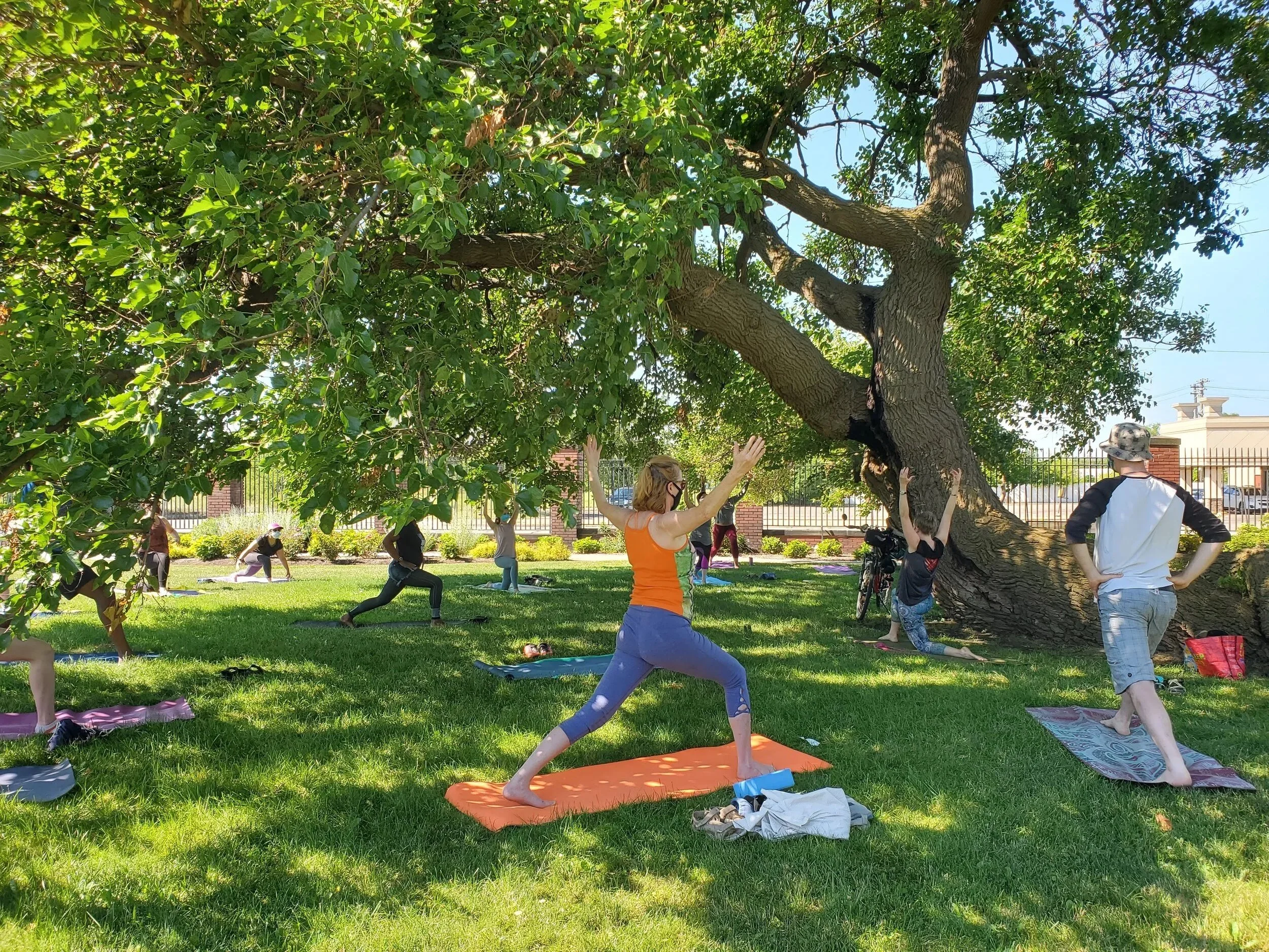 Yoga In The Park 