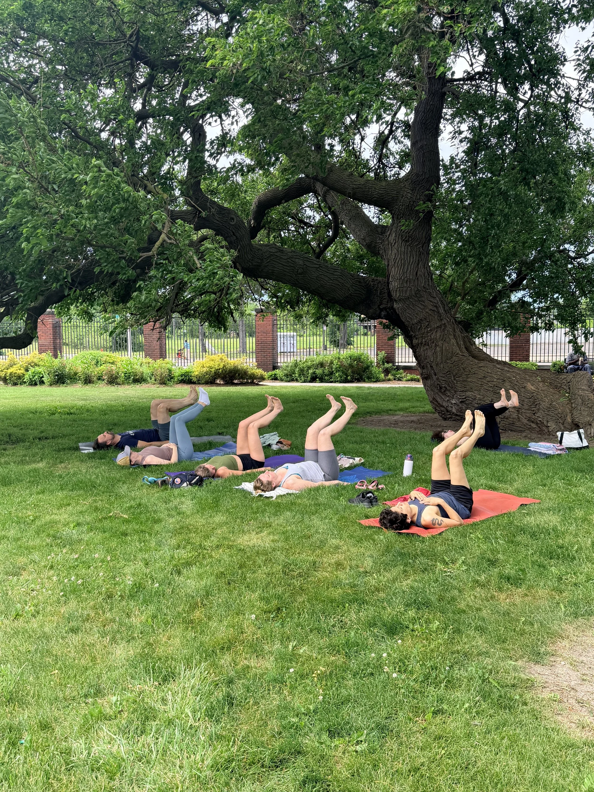 Yoga In The Park