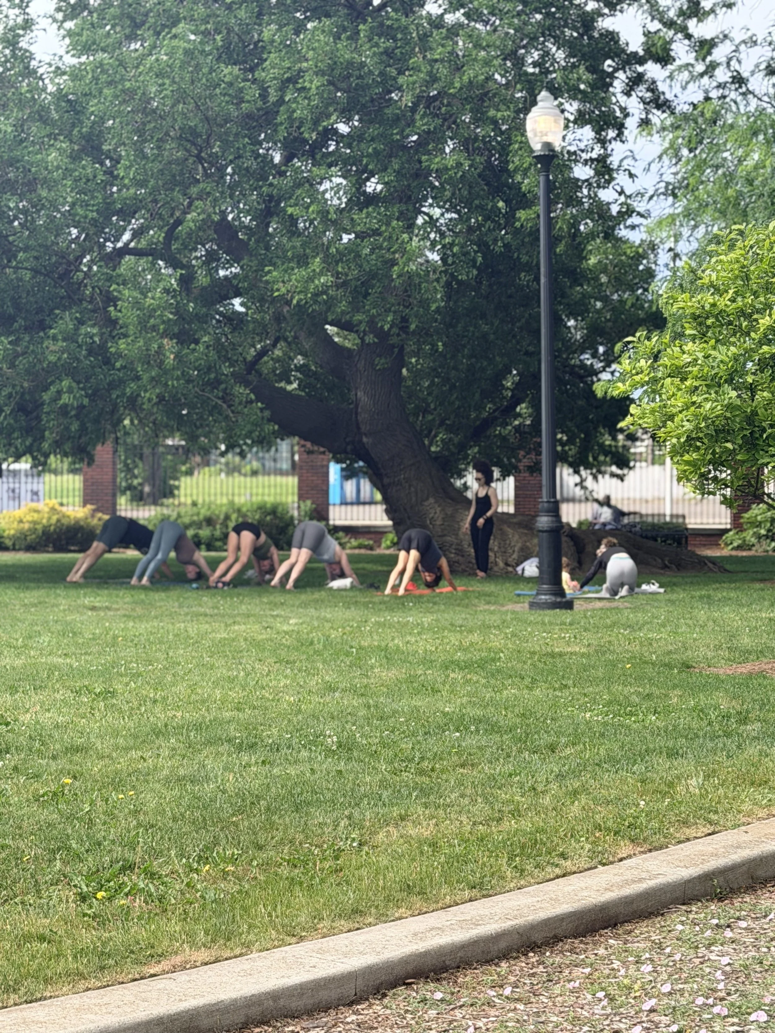 yoga4.jpg