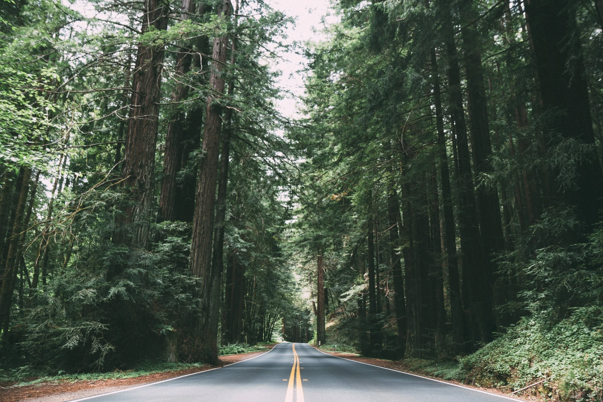 jake-melara-VzwVyjlz2Z4-unsplash.jpg