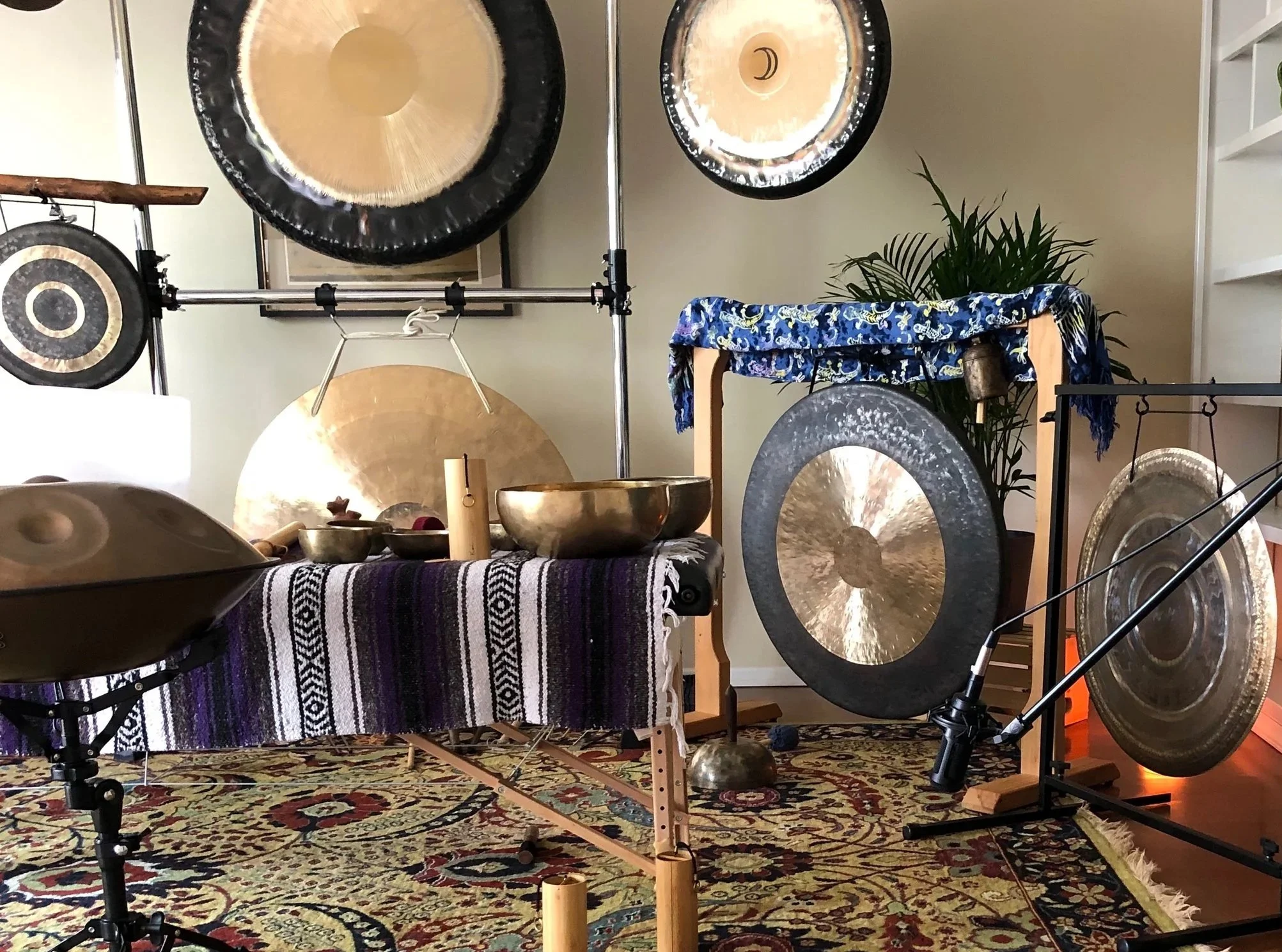 Level 1 Foundations of Integral Sound Healing Workshop 