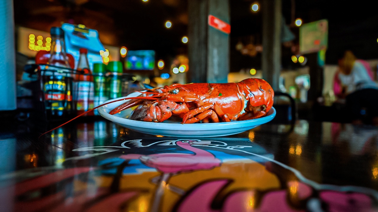 6.4.19+Lobsta+spec.+USED.jpg