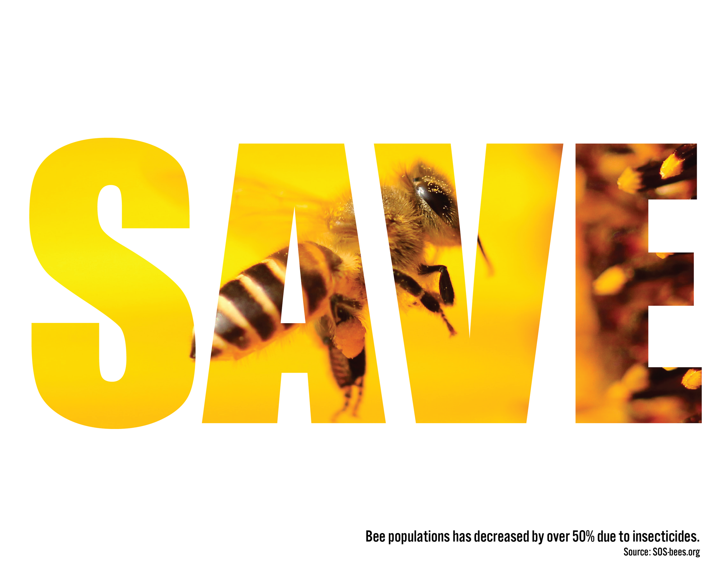 save the earth projects-03.png