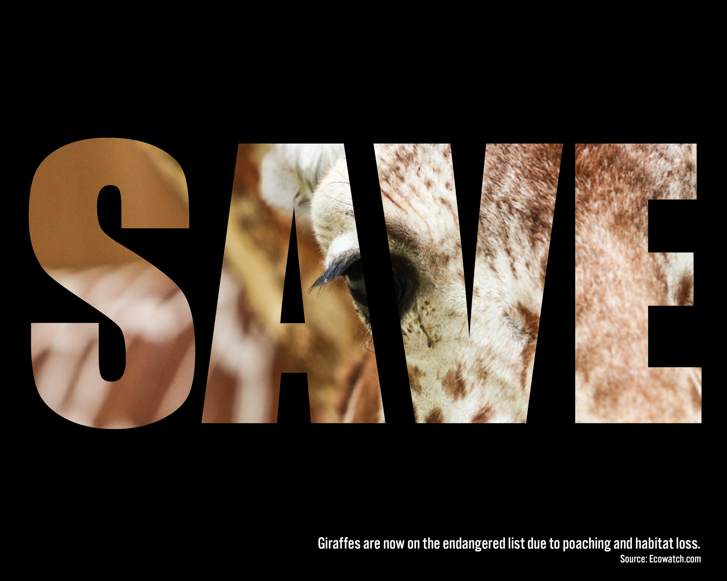 save the earth projects-04.png