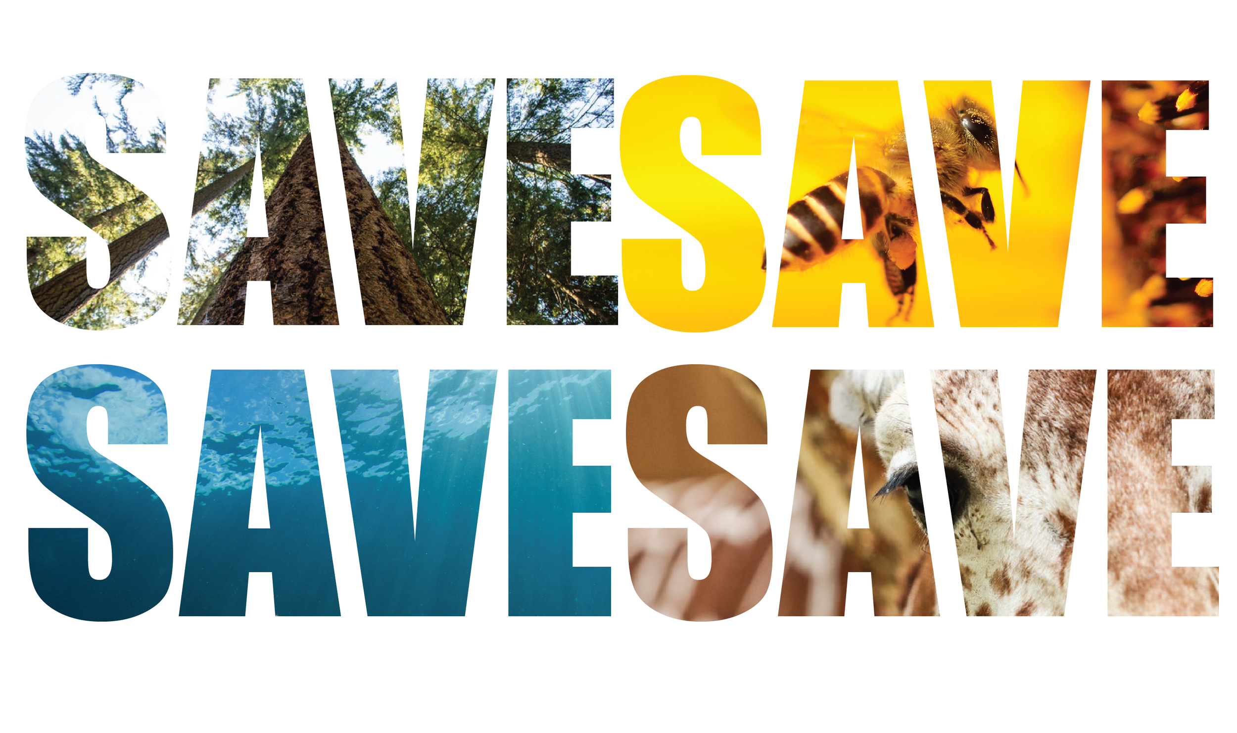 save the earth projects-05.png