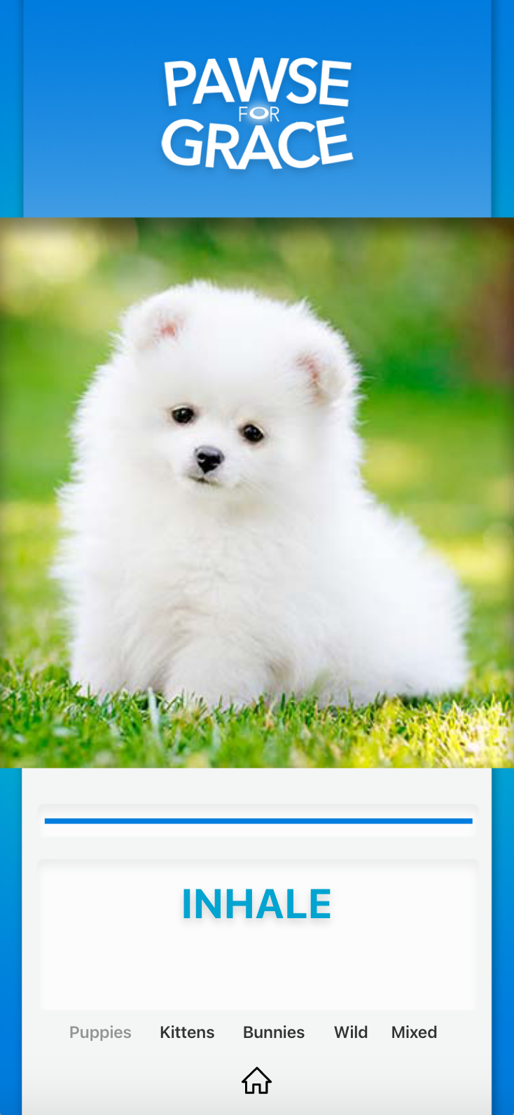 Screen Shot 2021-07-16 at 4.13.53 PM.png