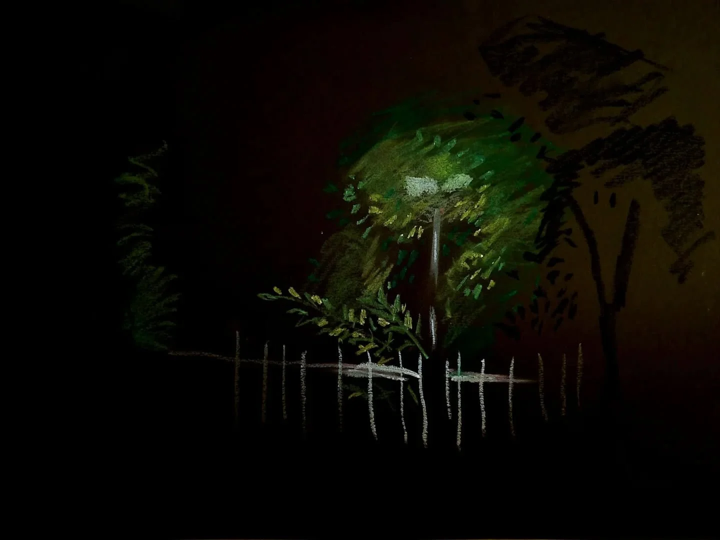 You have to be careful, theres weirdos in the park at night, drawing the streetlights and stuff.