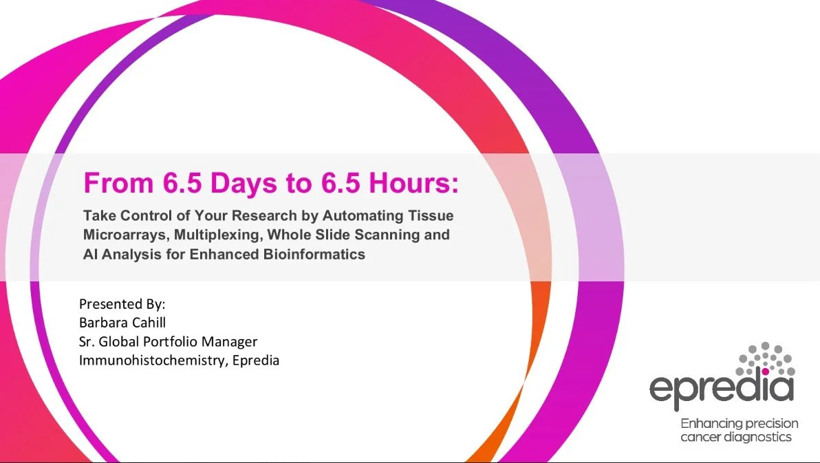 Screenshot 2023-01-11 140711.jpg