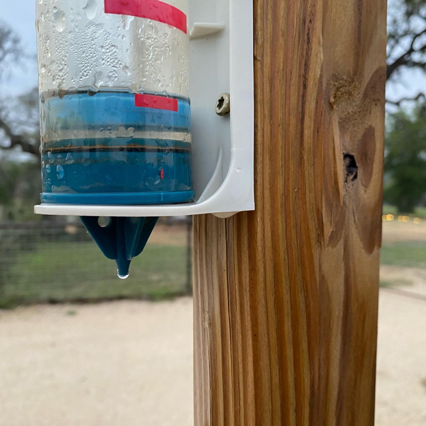 1/4&rdquo; in rain gauge this morning. Stopped raining at 6:30 am. Should be good to ride around 9:00 am. Have one rider out testing course now. https://www.flatrockranchtx.com/