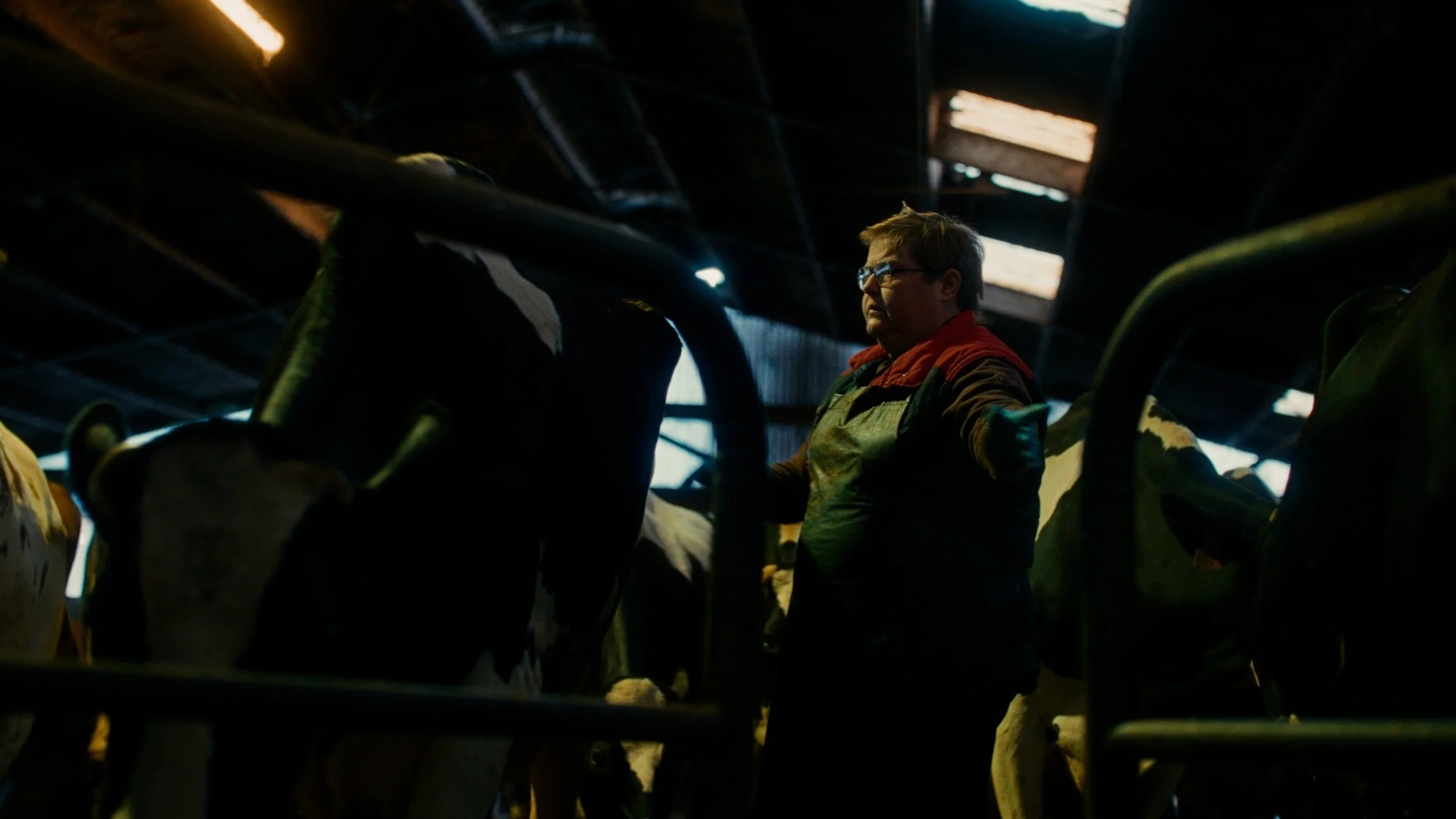 Ronse Werkt_WEB_240613.00_00_14_16.Still030.jpg