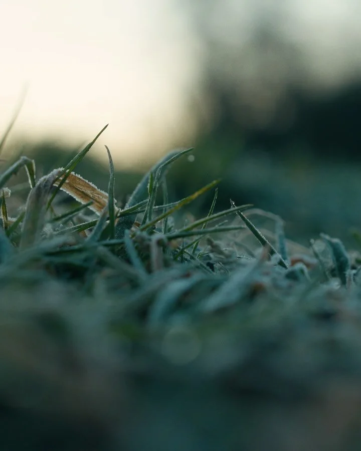 If you have 3min to spare, the link to the full version is in my bio 💙. Went on a little camping trip with @sam.decuyper . Decided to bring my camera, and it turned into my first Youtube-video 🤫