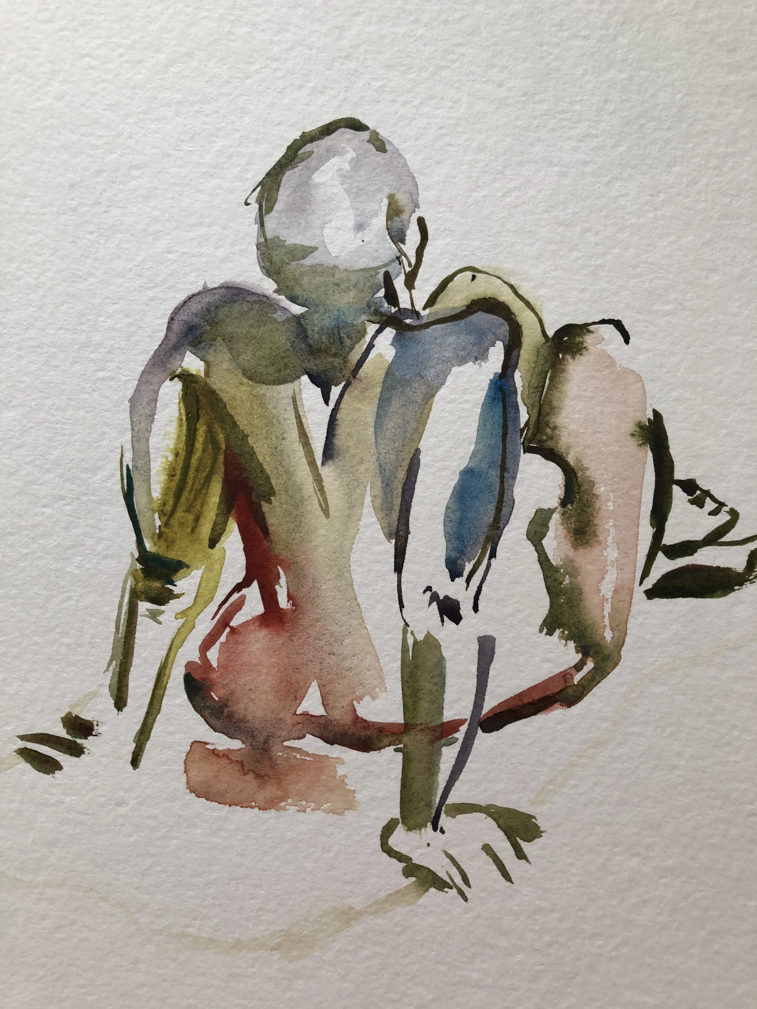 Sitting nude, Bermuda 2018
