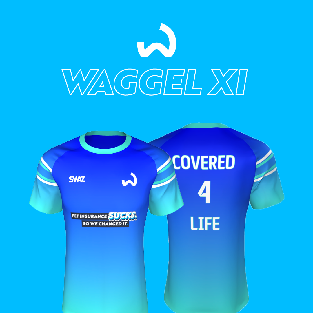 waggel fc_kit_XI.png