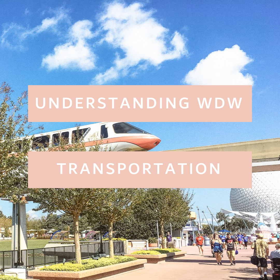 WaltDisneyWorldTransportationOptions
