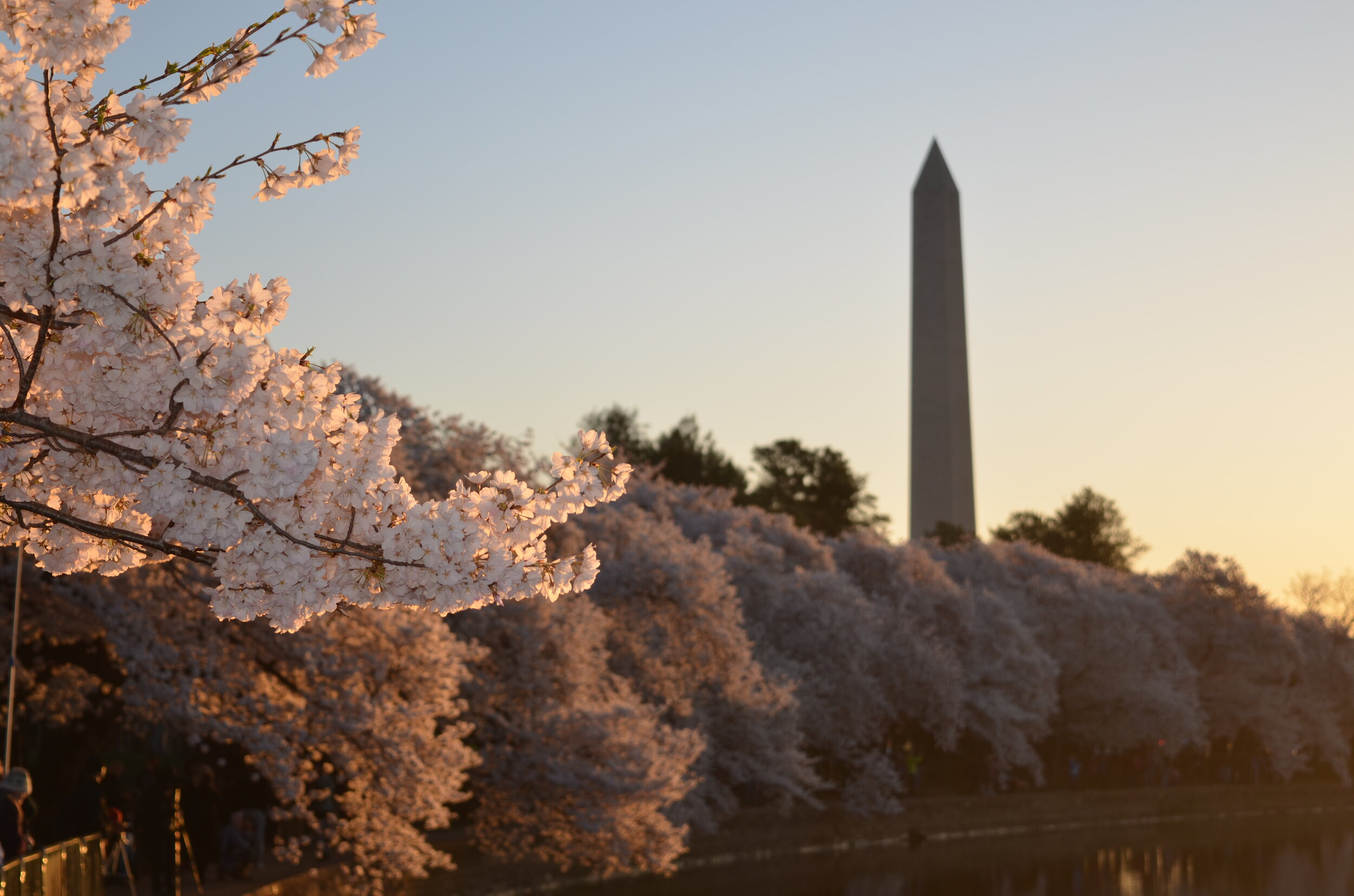 Destinations-to-visit-in-2020-Washington-DC