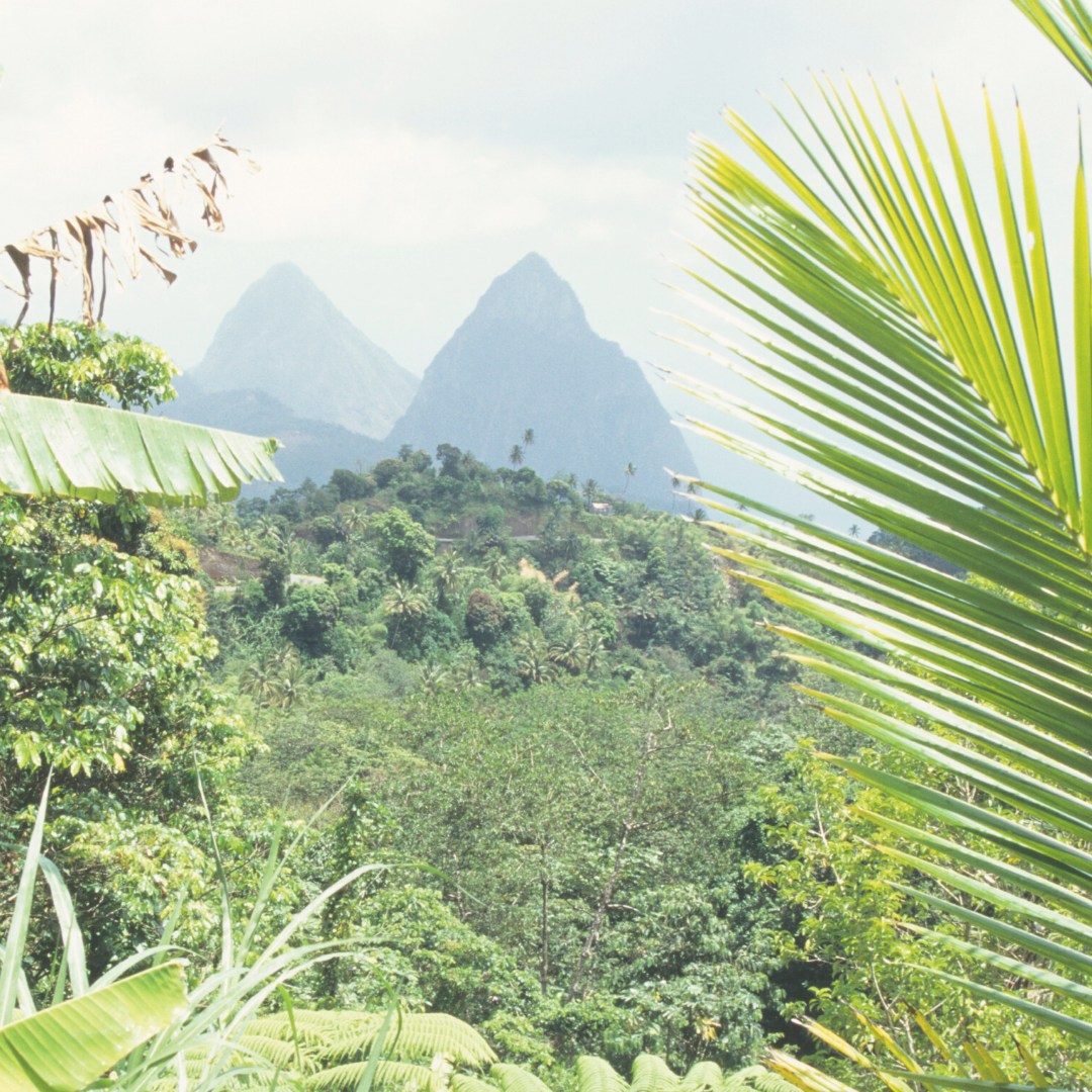 Choosing-a-Caribbean-Island-St-Lucia