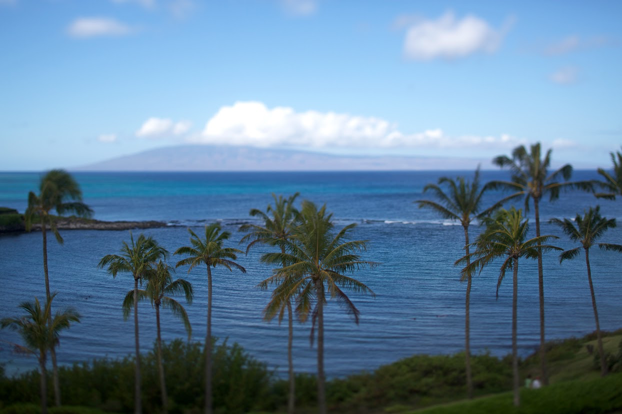 (Kapalua, Maui Photo Courtesy of Hawaii Tourism Authority)