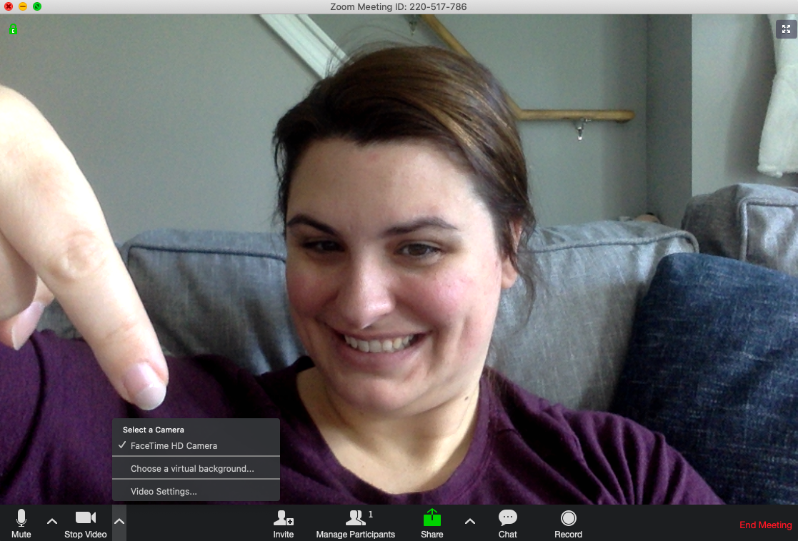 10+ Disney Haunted Mansion Zoom Background