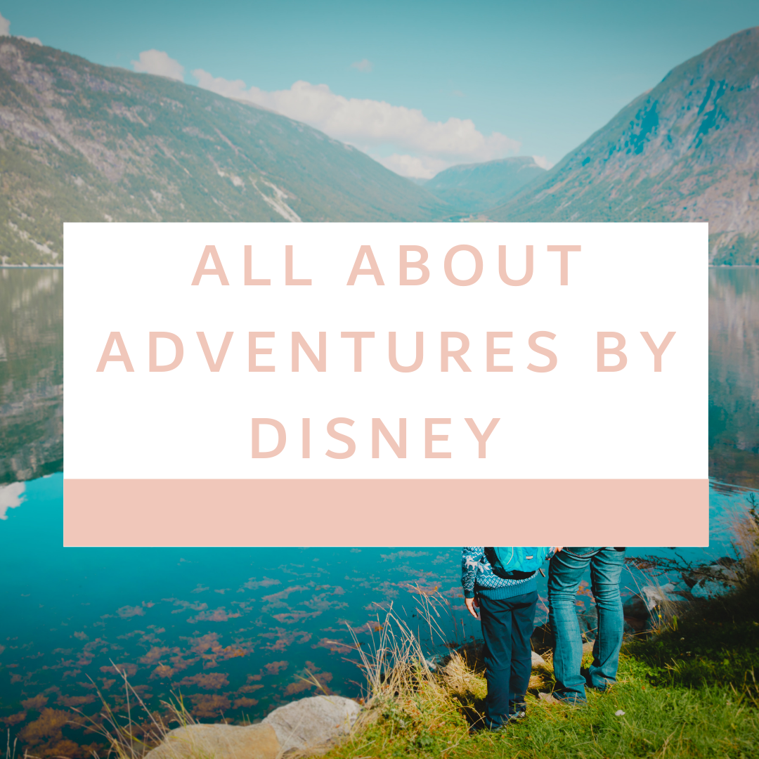 DISNEY TRAVEL AGENT ADVENTURES BY DISNEY GUIDED TOUR MAGIC TRAVEL AGENT VACATION TOUR GUIDE