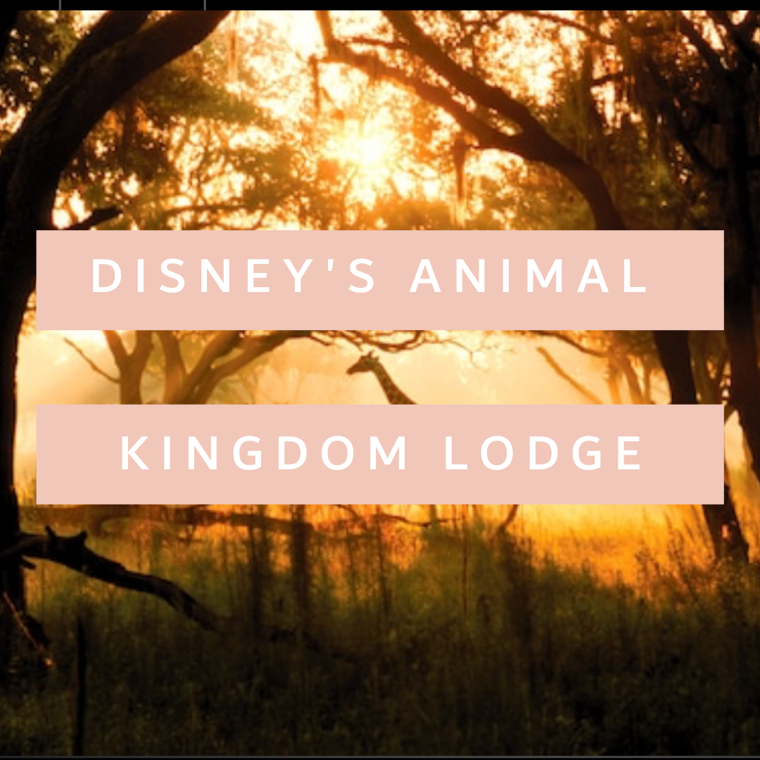 Animal Kingdom Lodge Africa Vacation Safari Disney Travel Agent Vacation Planning Deluxe Resort Vacation Planner Busy Mom