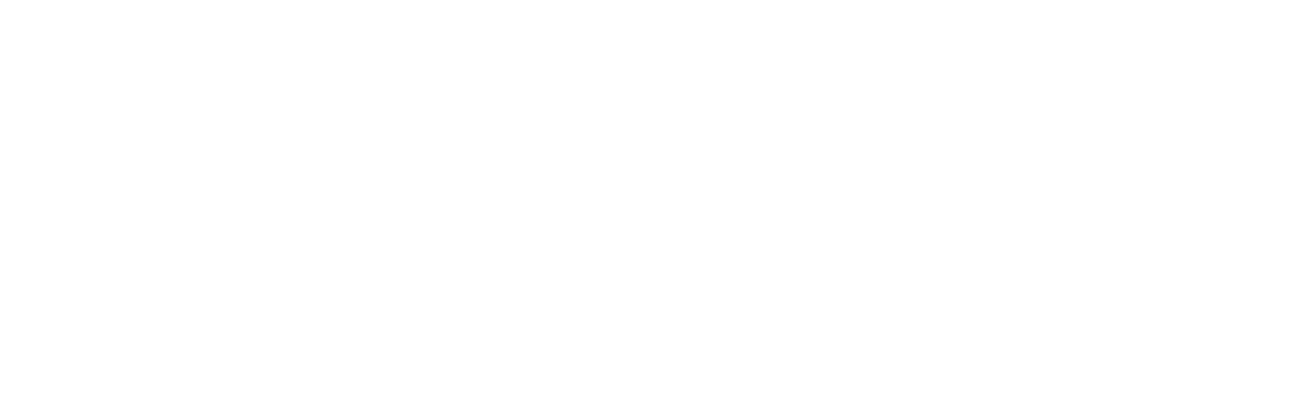 college mentorship — flying turtle post