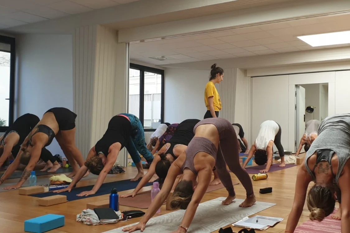 Vinyasa : les fondations