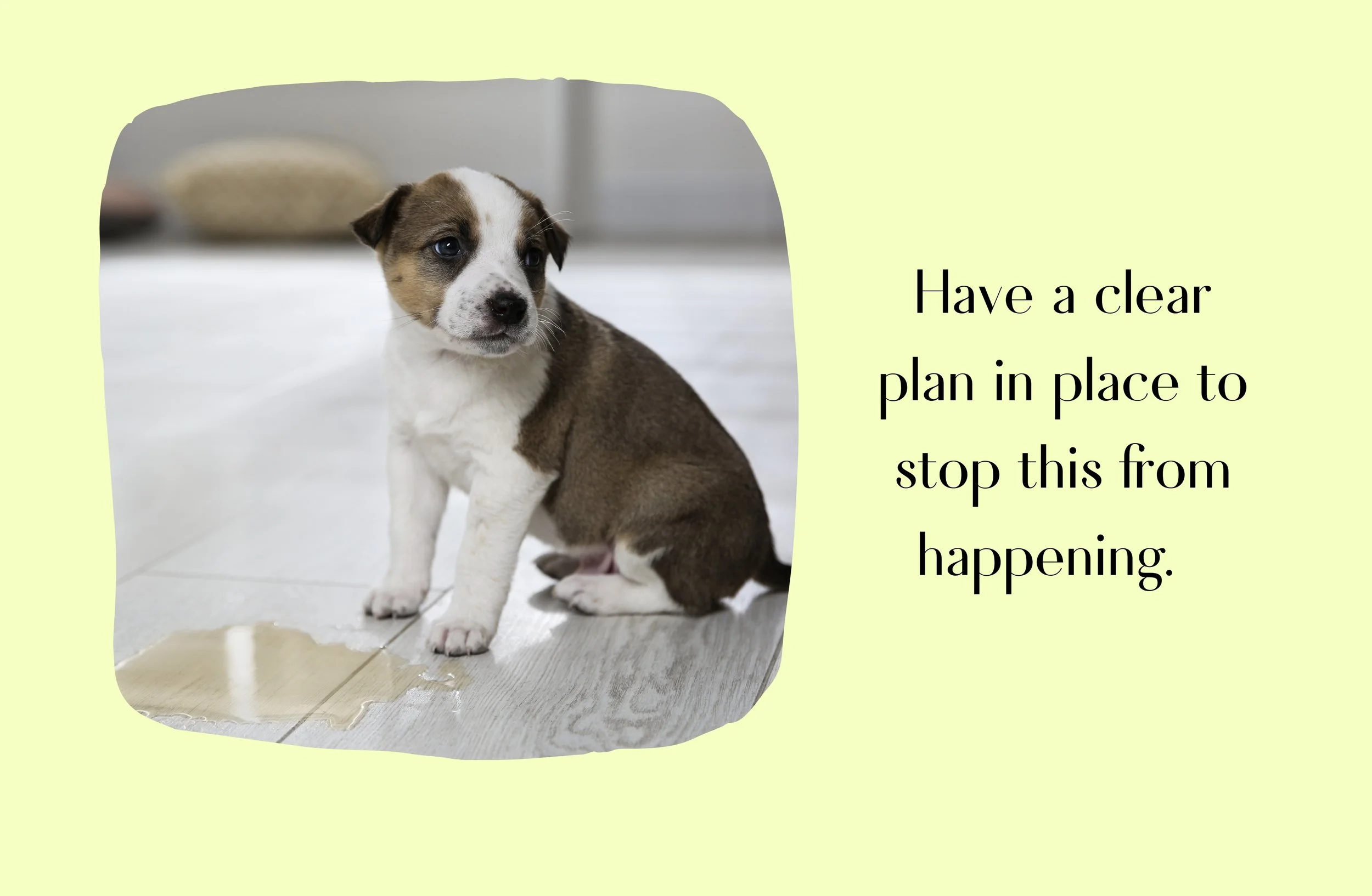 The Ultimate Puppy Potty Schedule.zip - 2.jpeg