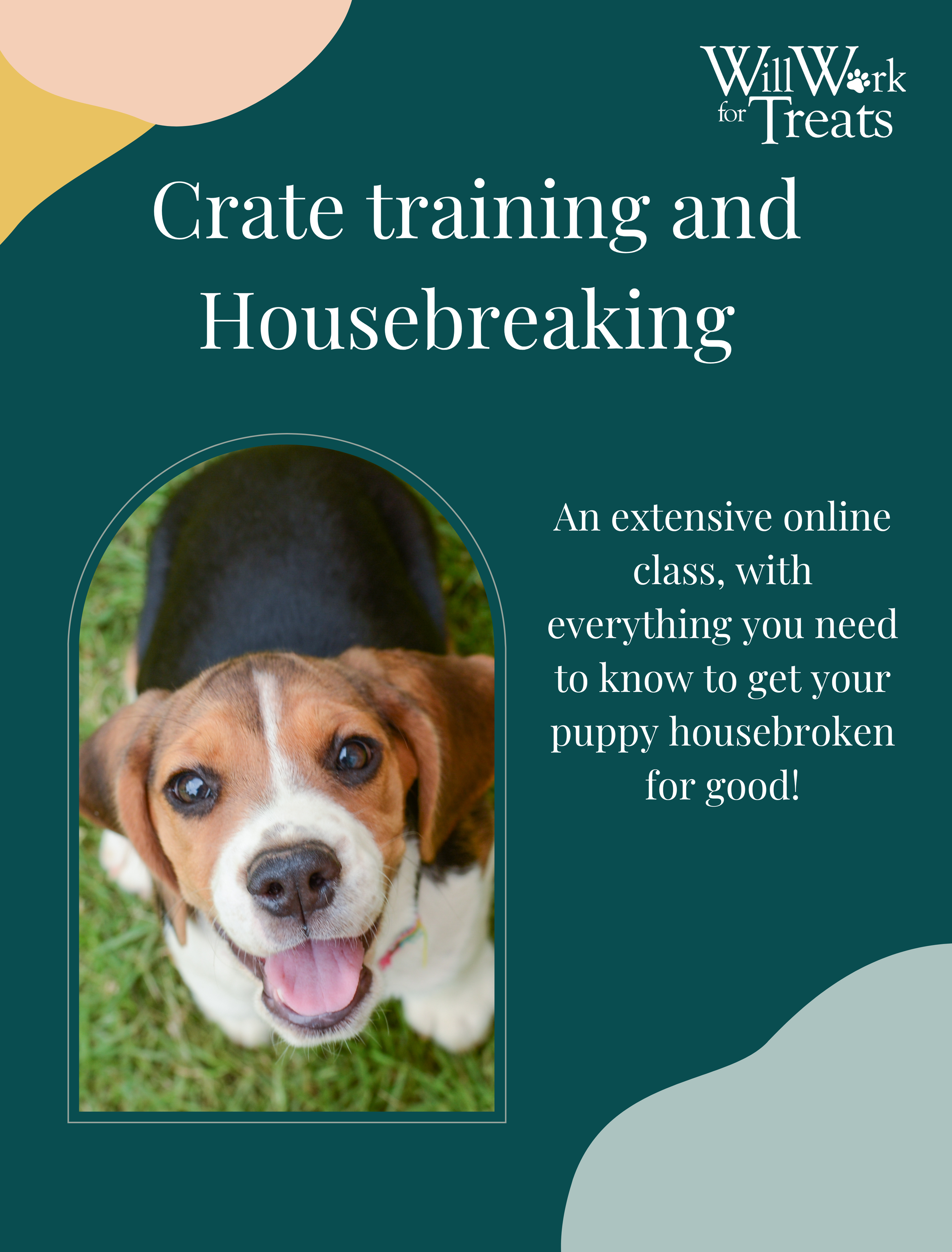Aubrey Bettencourt, Professional Dog Trainer