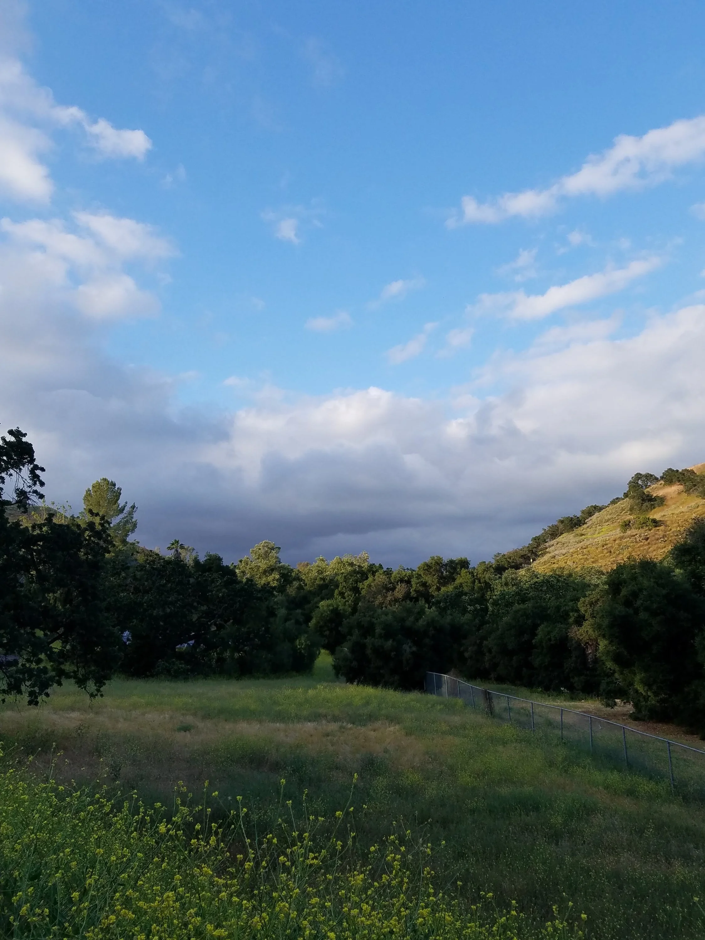 20190523_184529.jpg