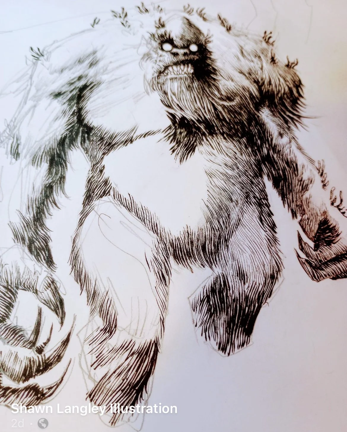 Here comes more in 2024... and the War Eagle River Wildman!