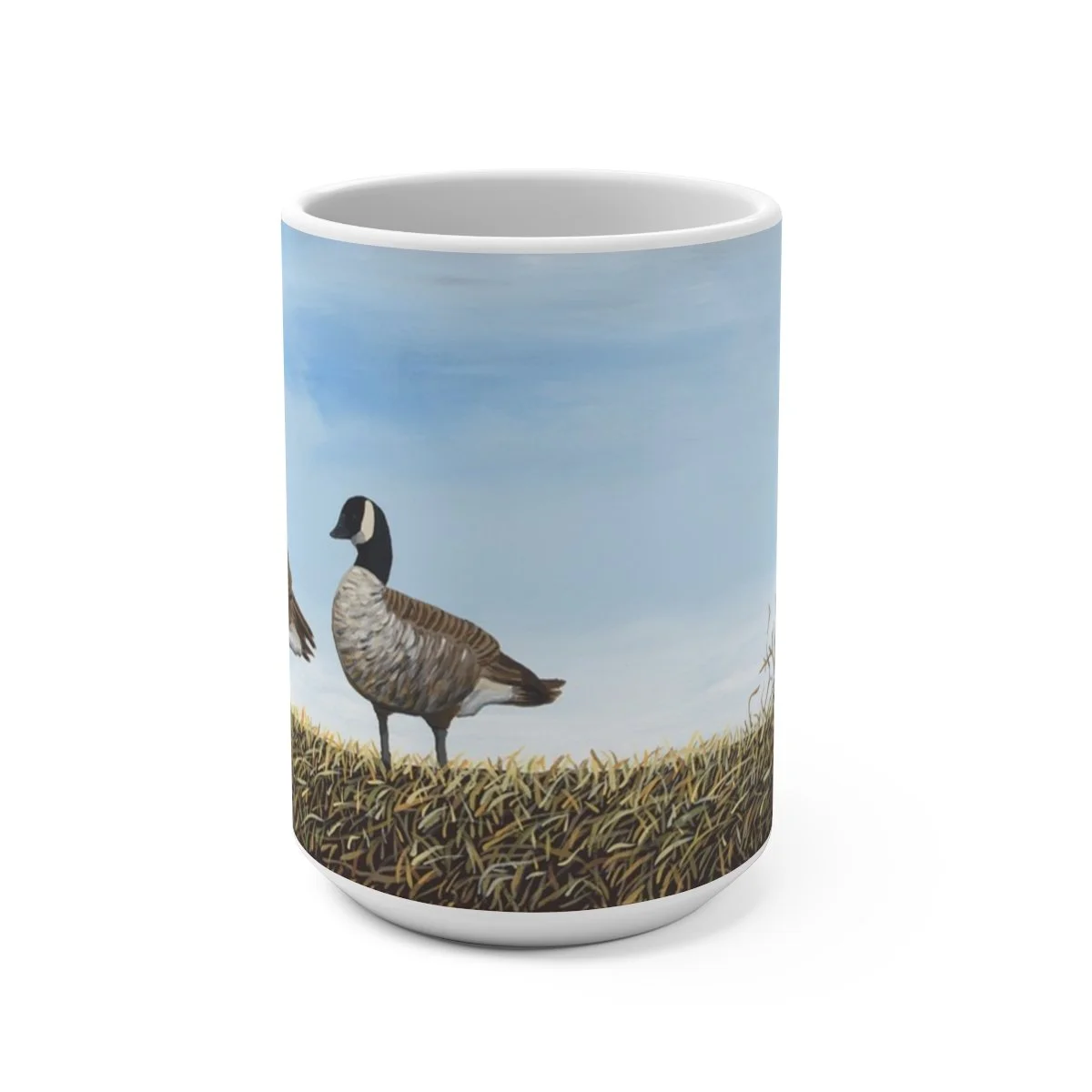 13cf19f16eef7f474198fa1457709b07