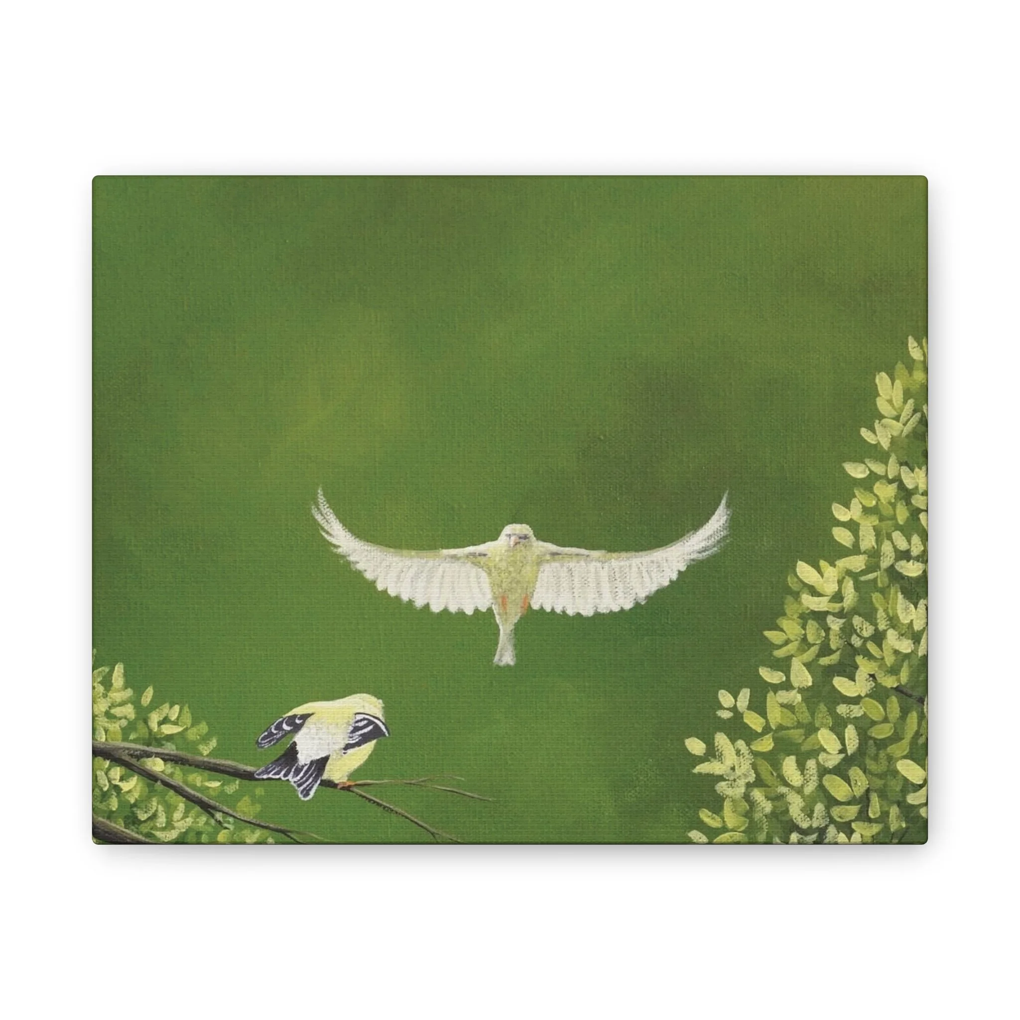 877950b45081cebd4e8d917973cb42ef