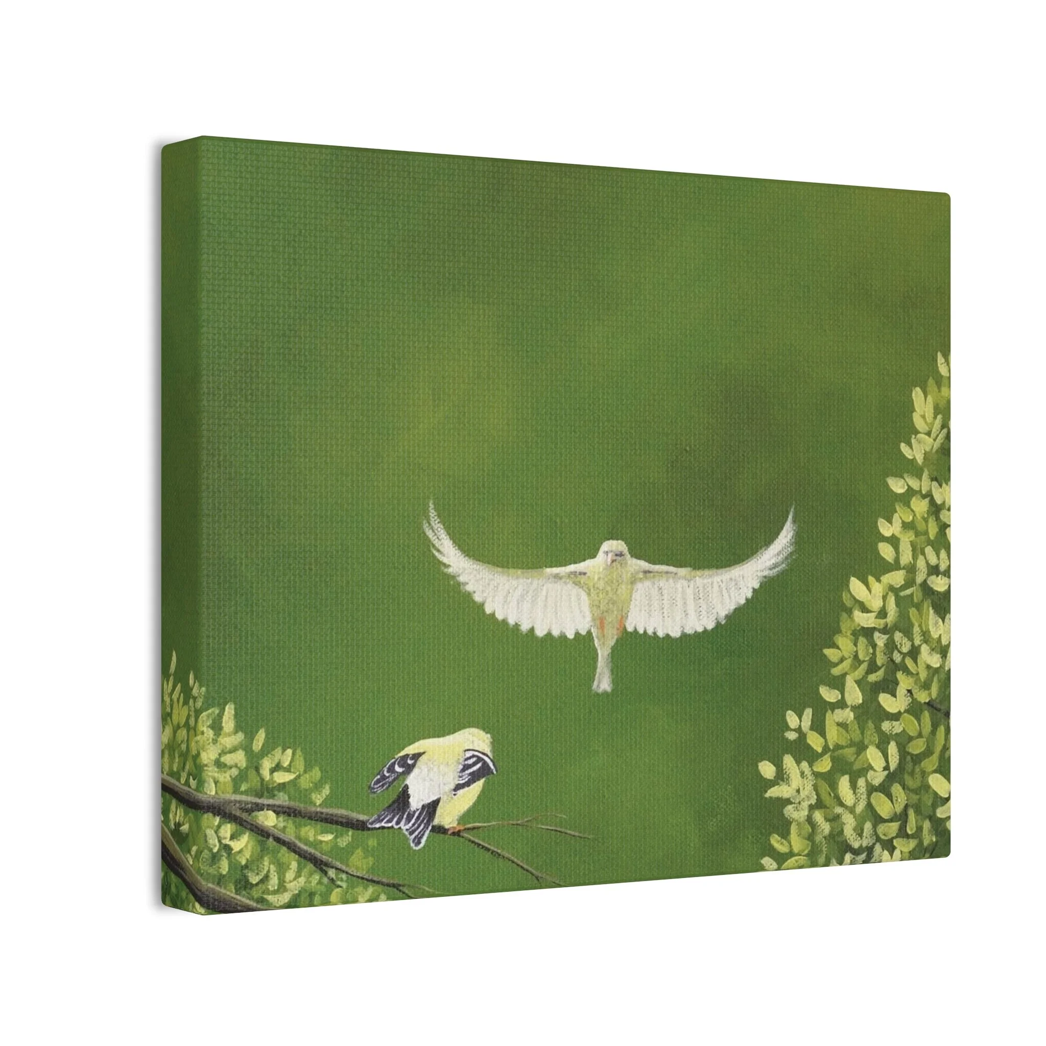 985ec41dbfe71541c5eb570acda26770