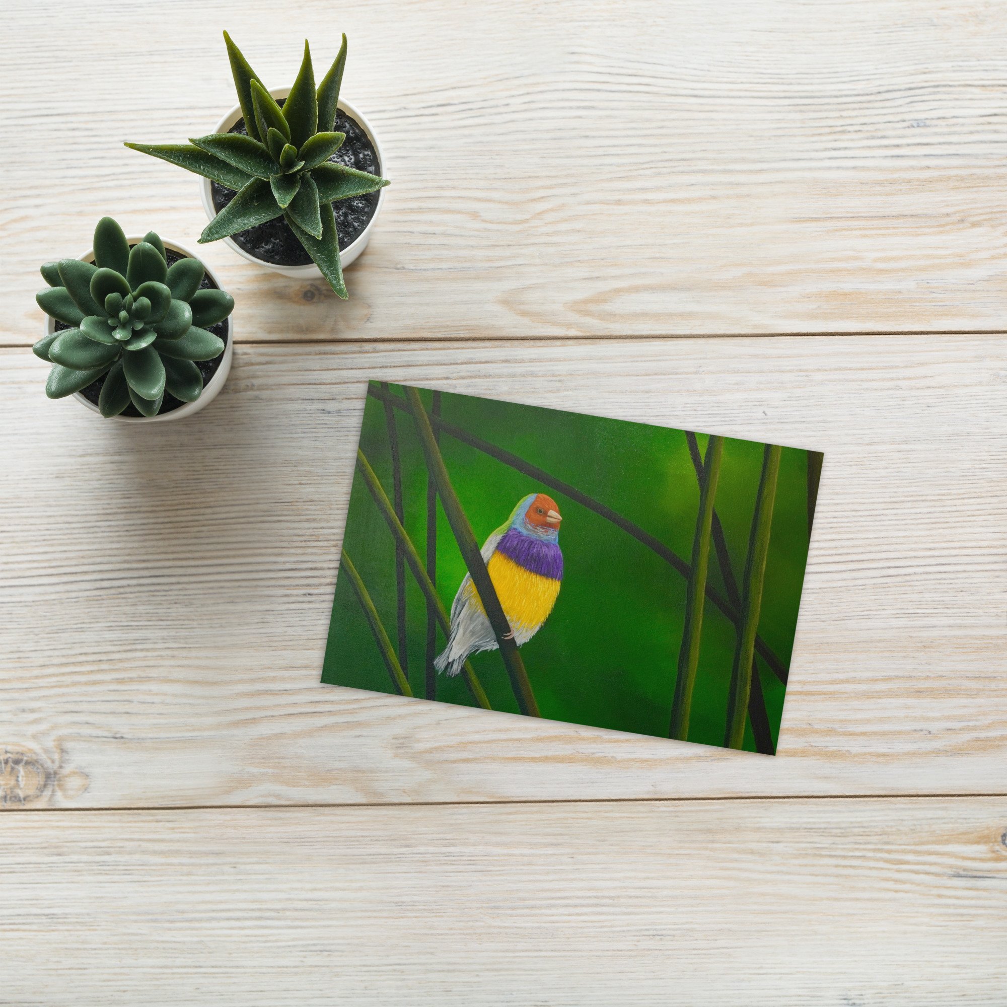 greeting-card-4x6-front-6ac627f03f988.jpg