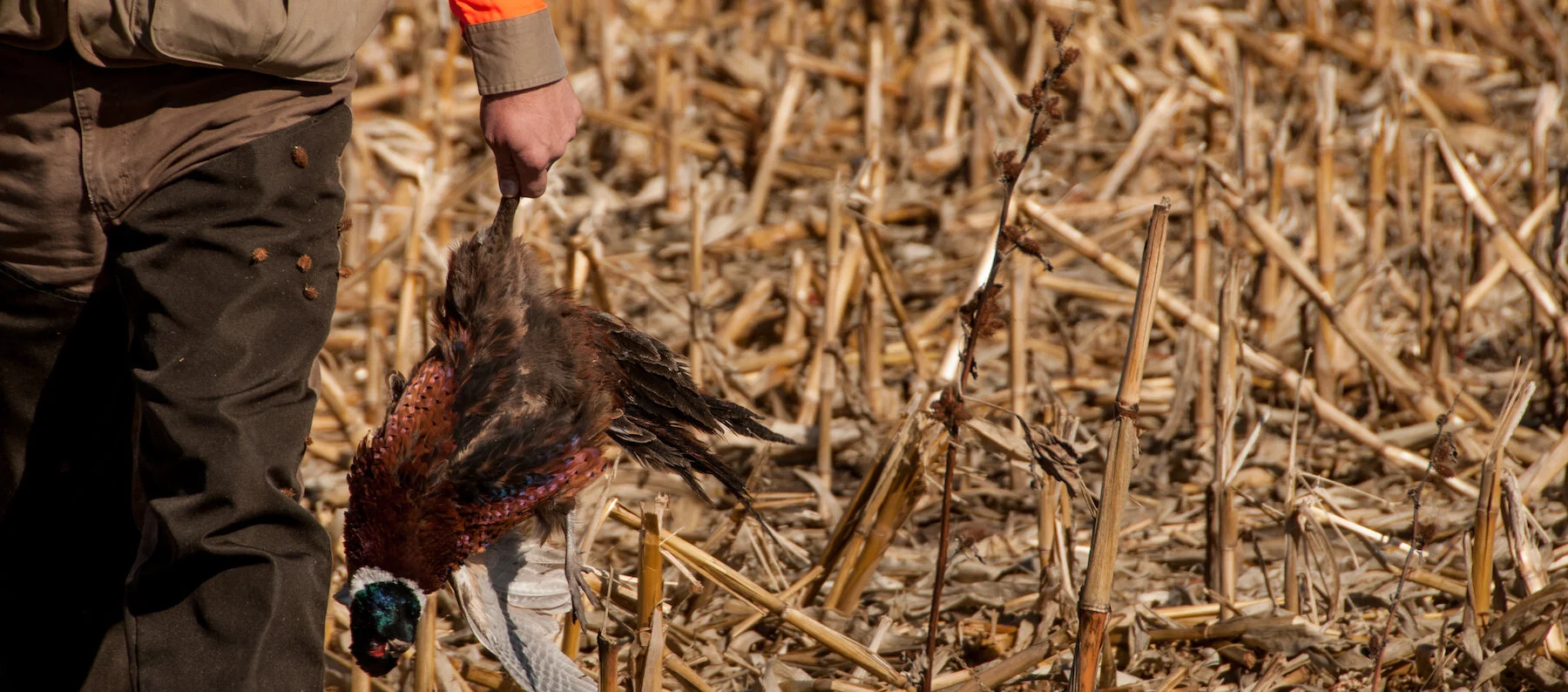 Guide Services — Bob's Resort