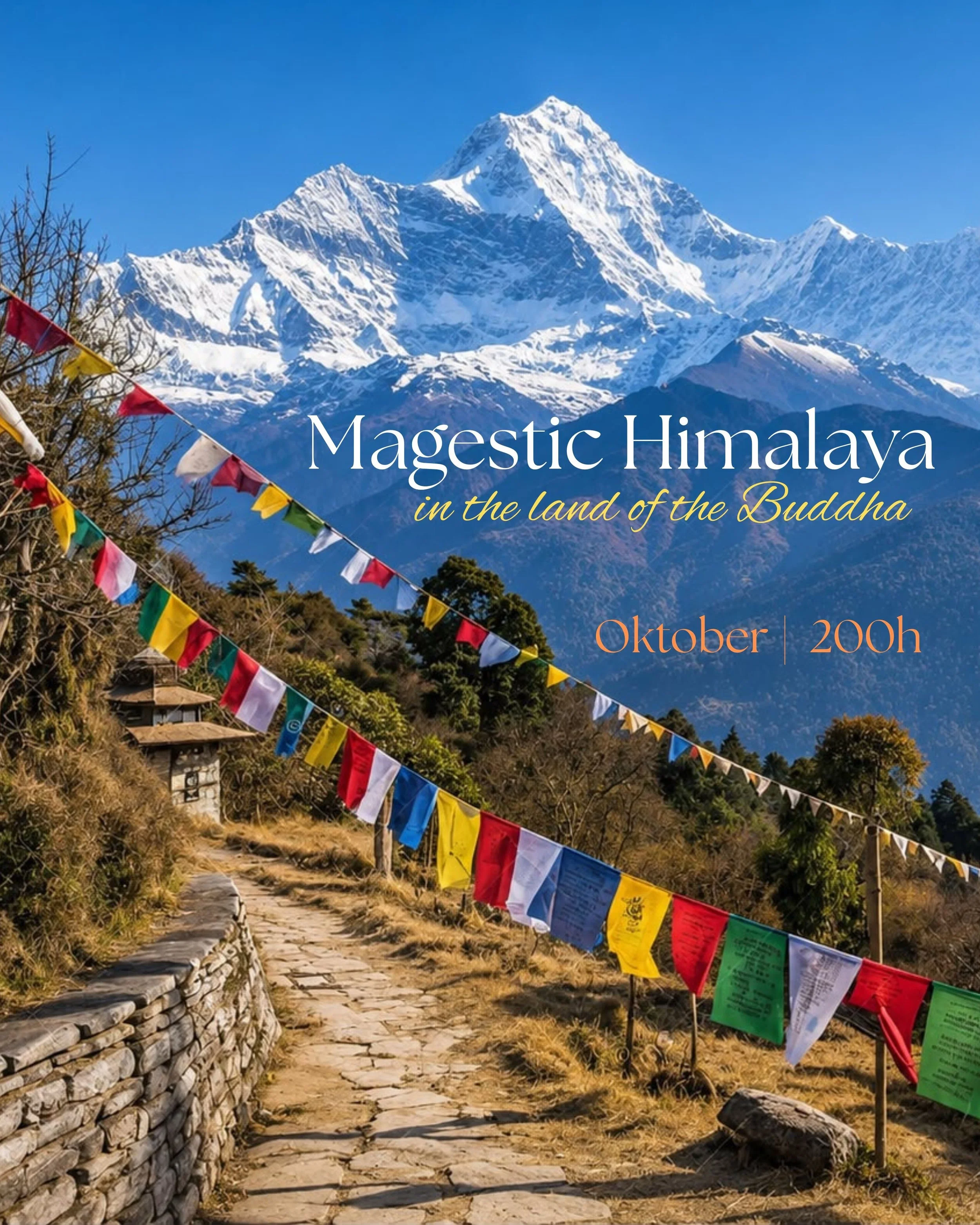 Oktober: in the land of the Buddha ab 04. Oktober ▲ 

Einmalige Gelegenheit in magischer Location auf dem Dach der Welt in Dharamsala ▲ 

Ausblick &uuml;bers Himalaya in ruhiger Natur und Fussweg zur Residenz des Dalai Lama ▲

Eine ganz besondere Loc