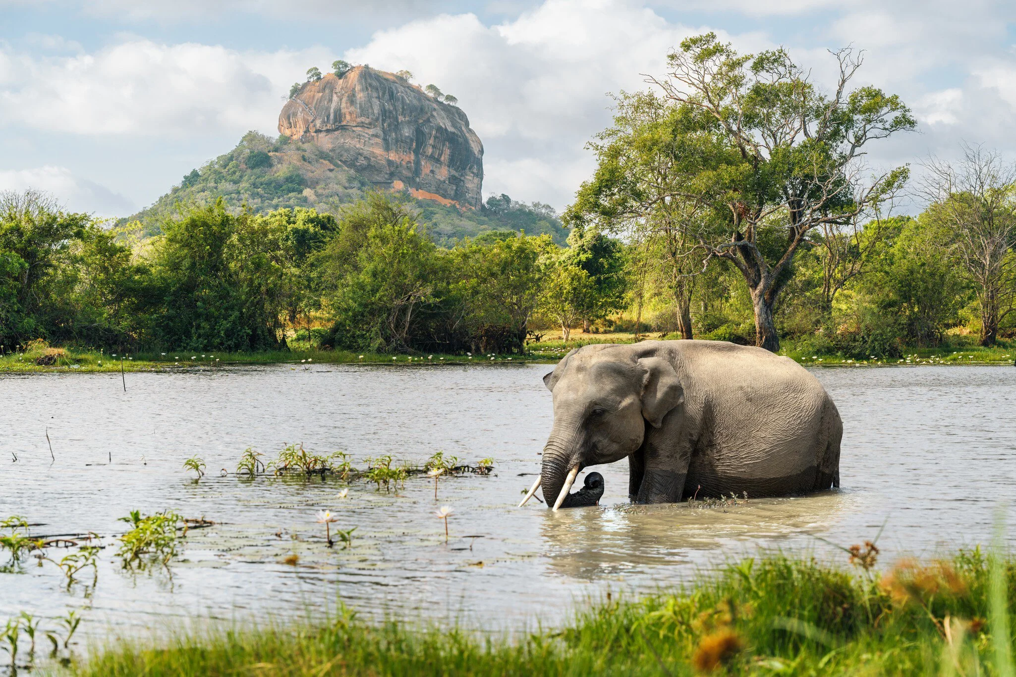 wow lanka.jpeg