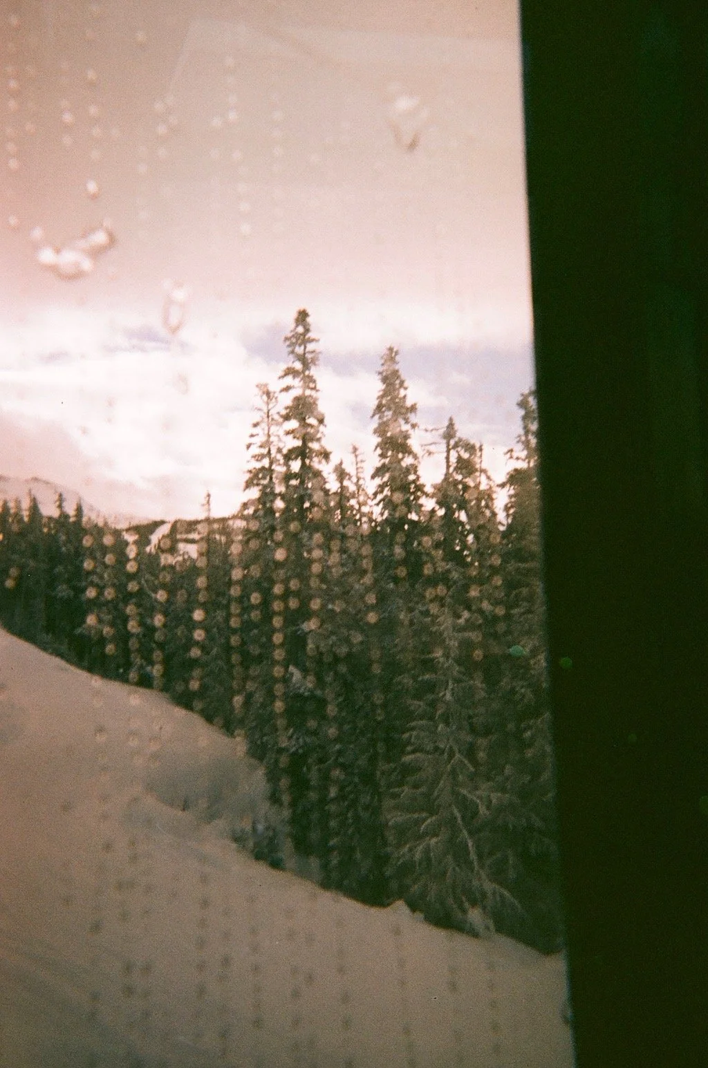  This and the next 2 images are taken from an expired film camera. 