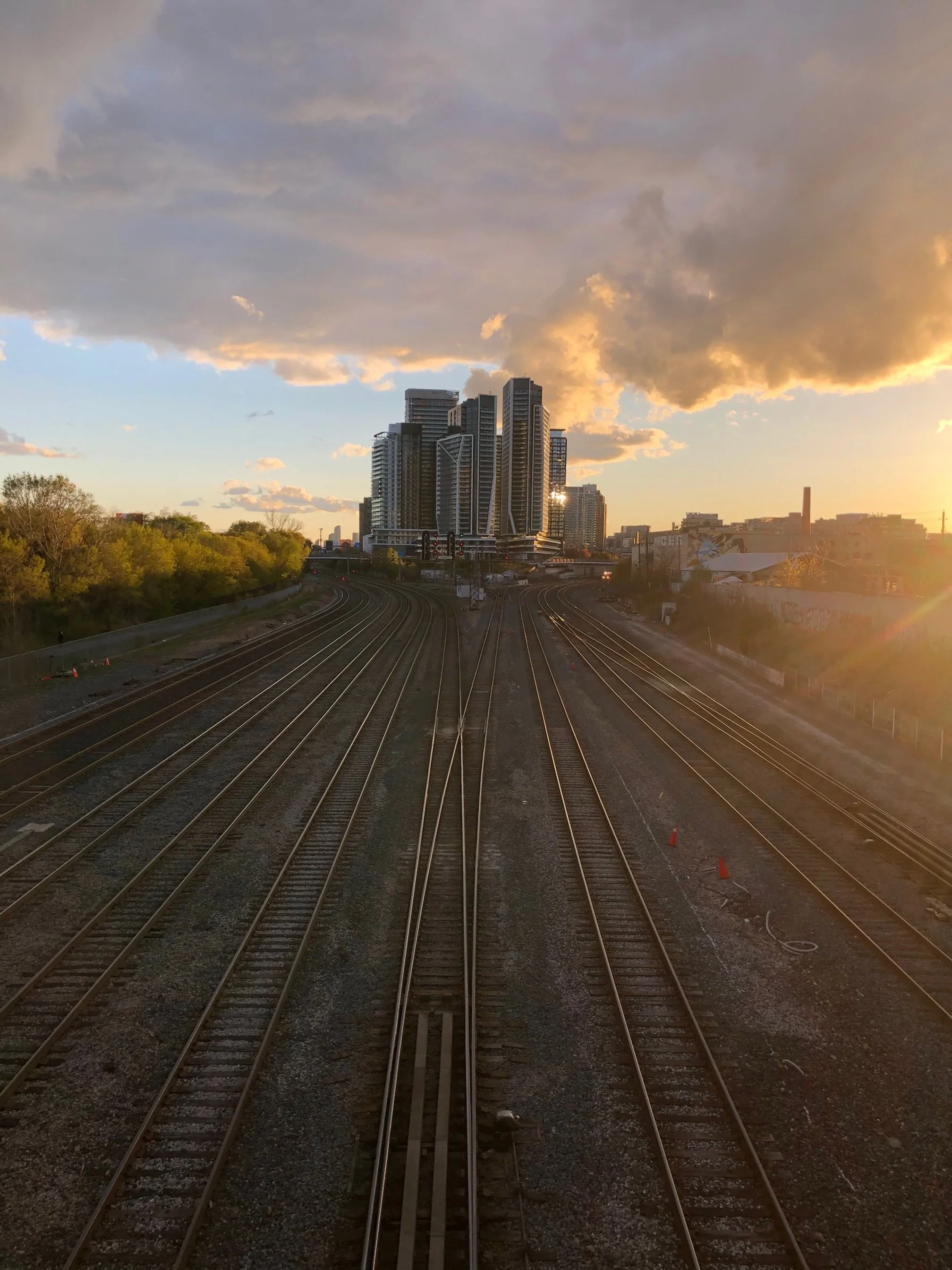 I lived in Liberty Village and can confirm people don’t pick up after their dogs. 