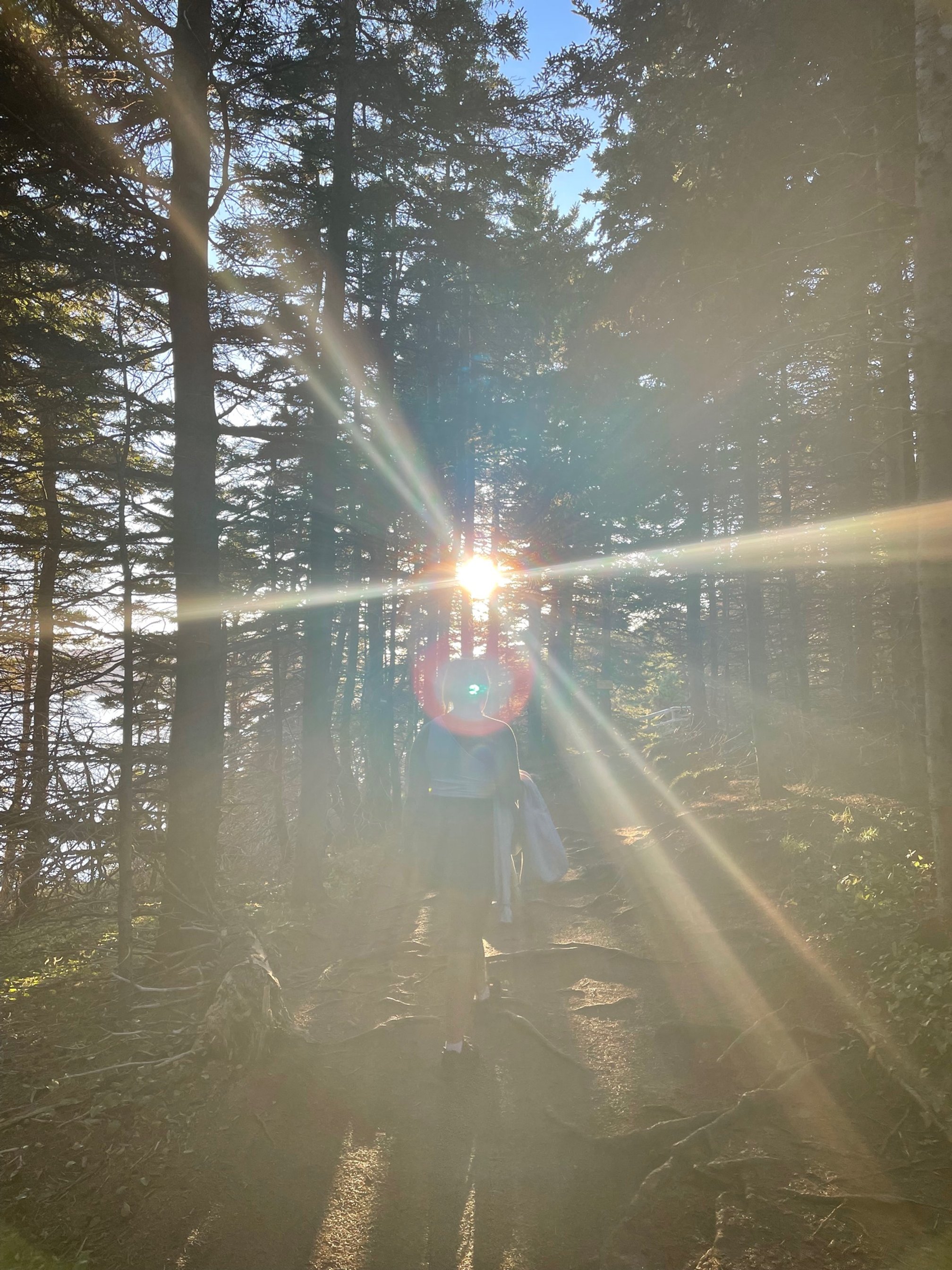  Favourite season is light flare summer. 