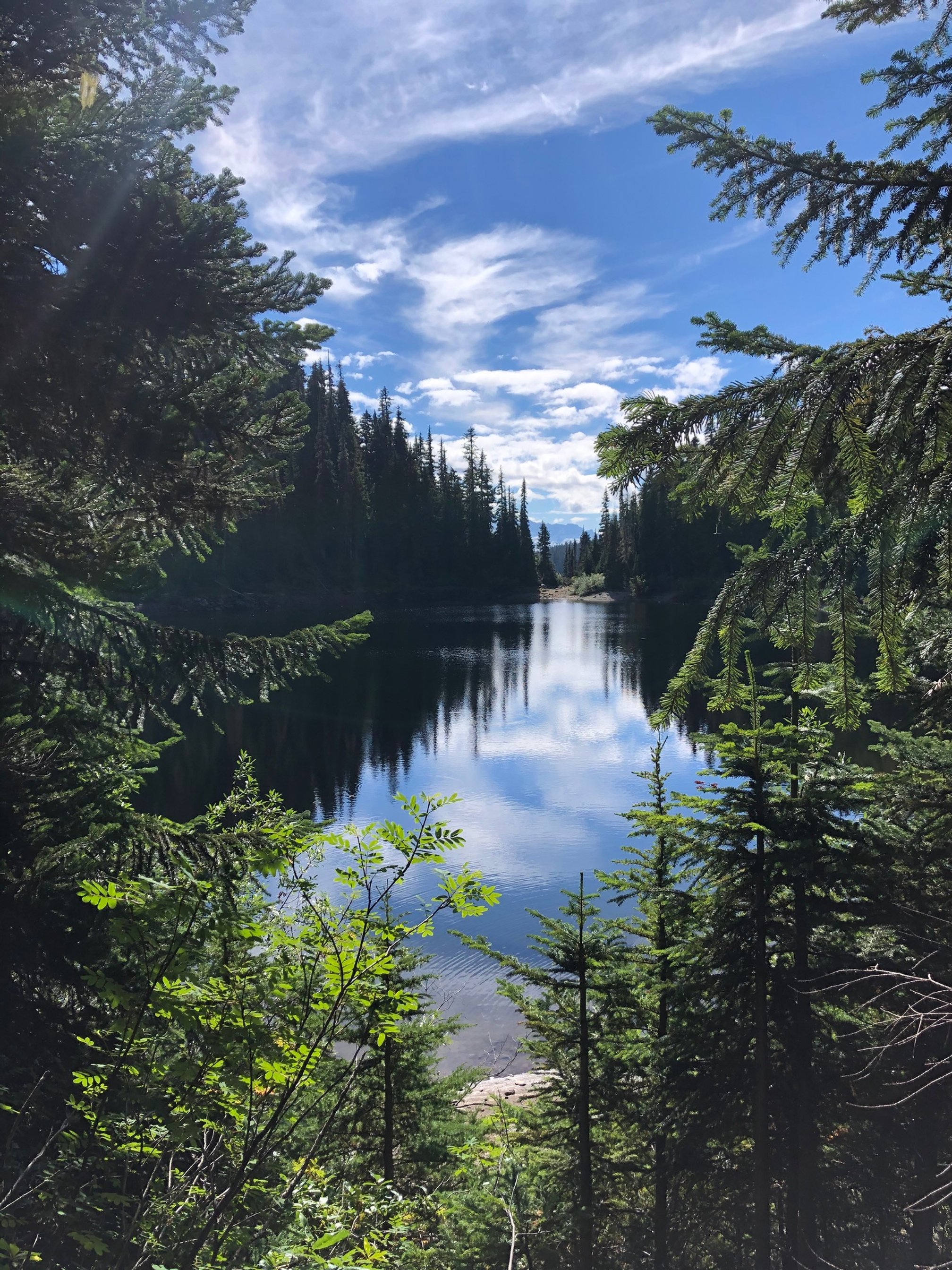  I thought the hike to Lake Garabaldi was 4 hours. I was wrong. 