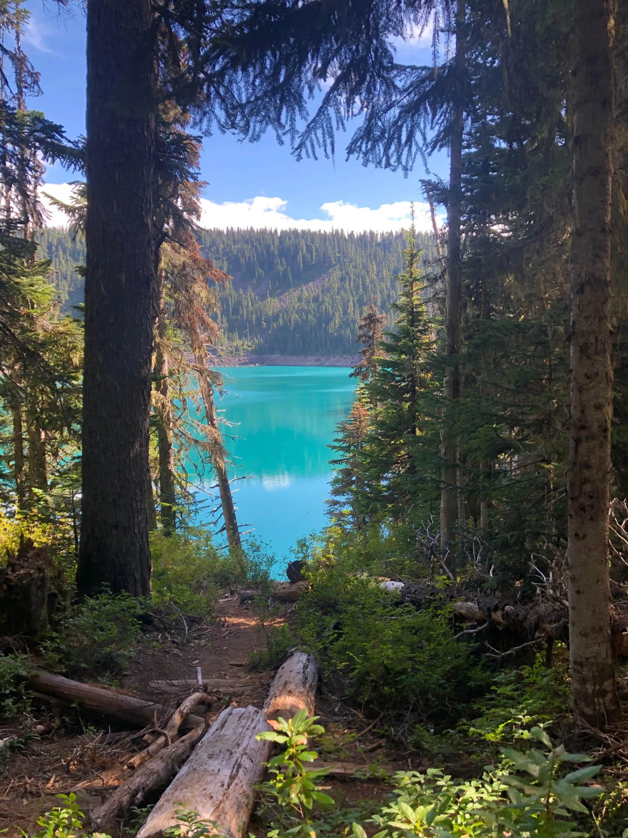  Definitely worth the 8 hour hike. 