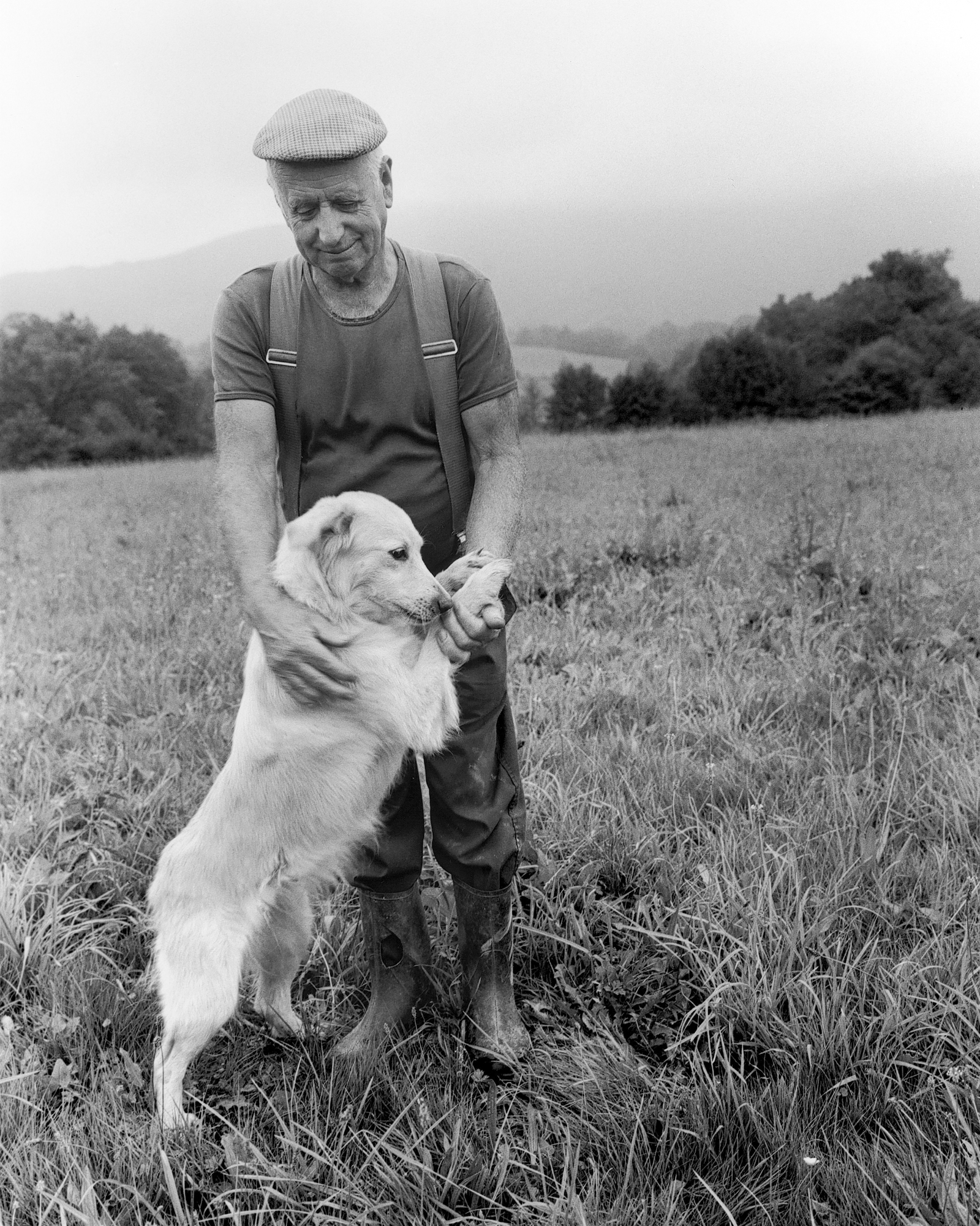 Basque039.jpg