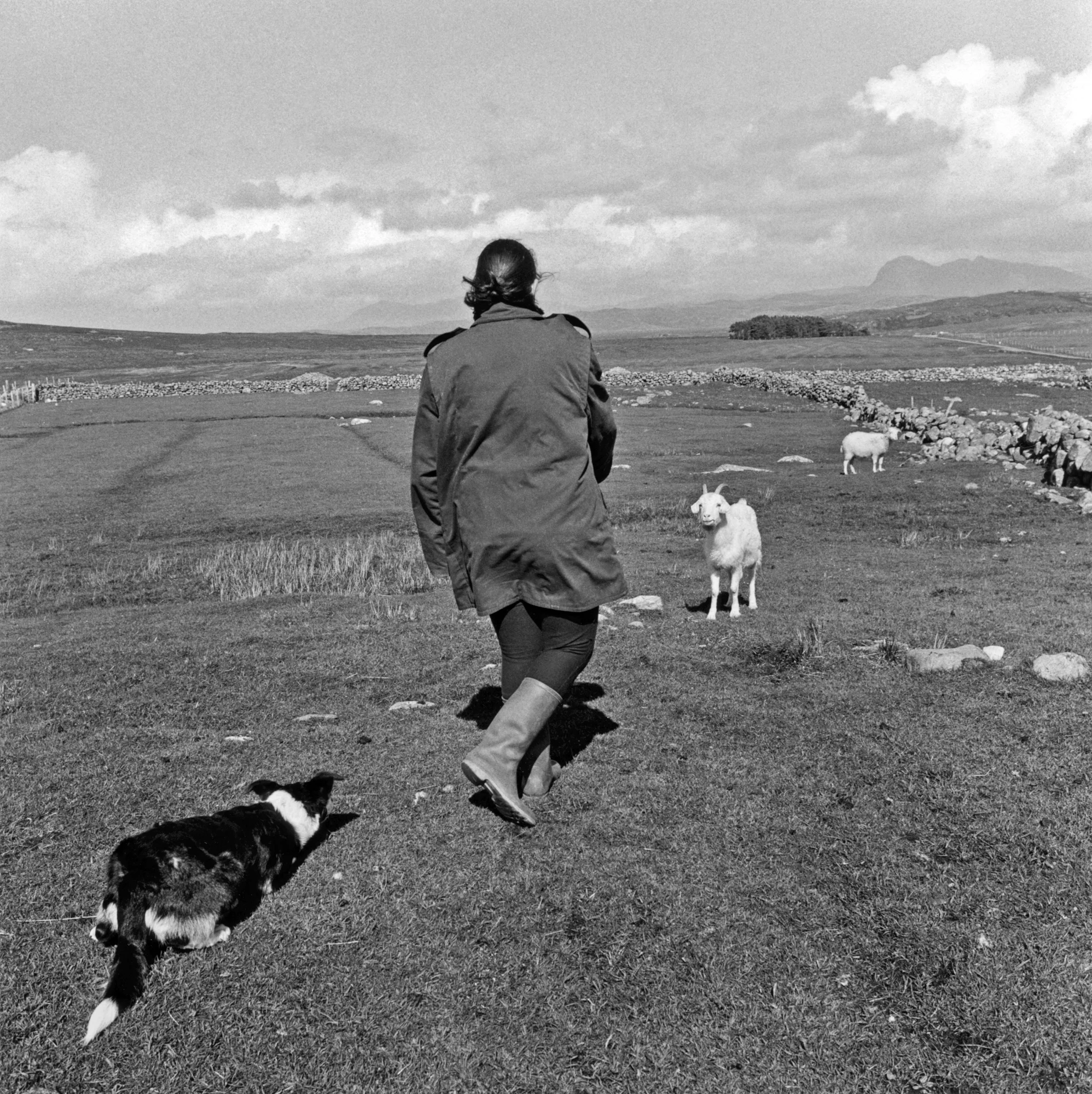 Julia and Goat. Achiltibuie, Scotland 2000 copyLR.JPG