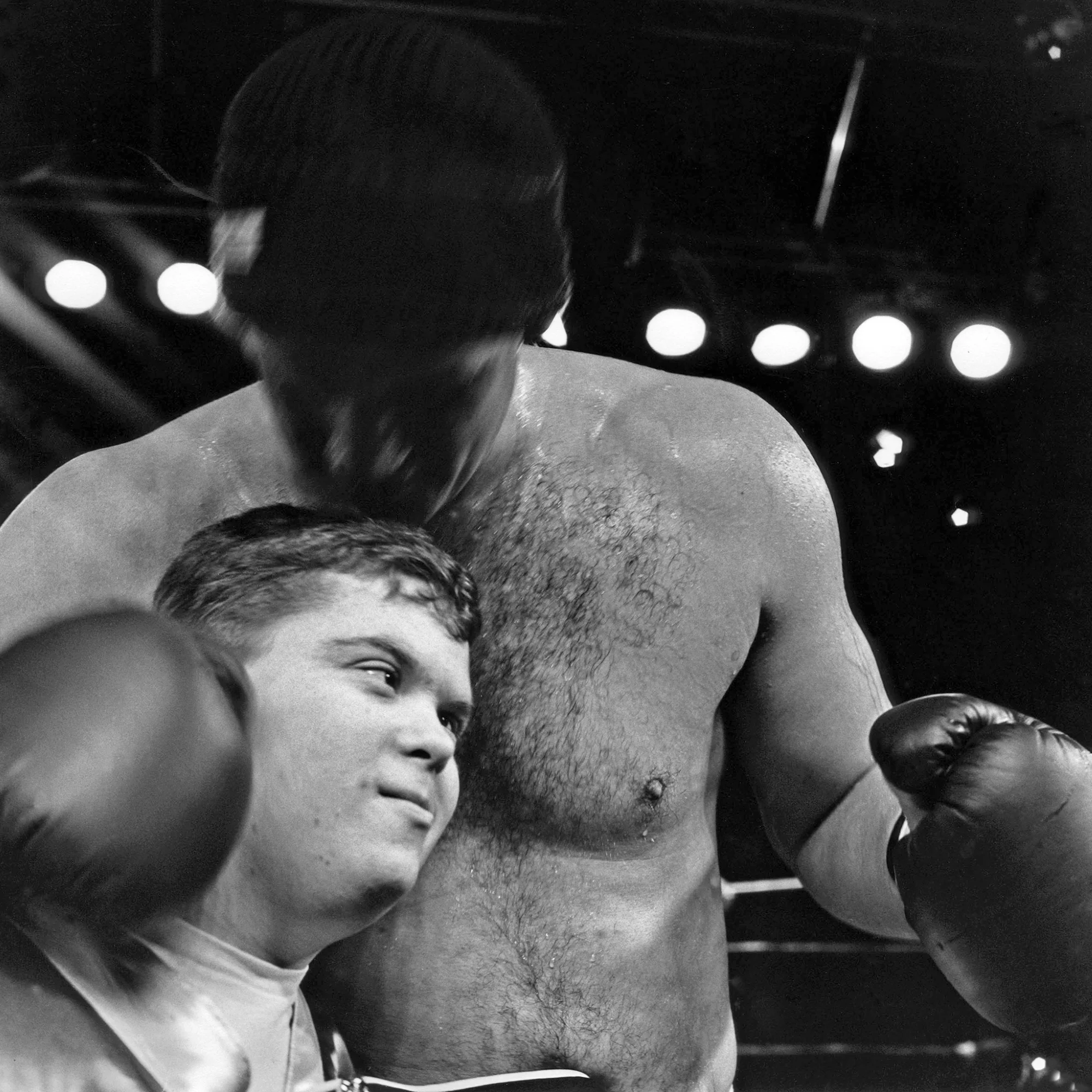 Boxer and sisterLR.JPG