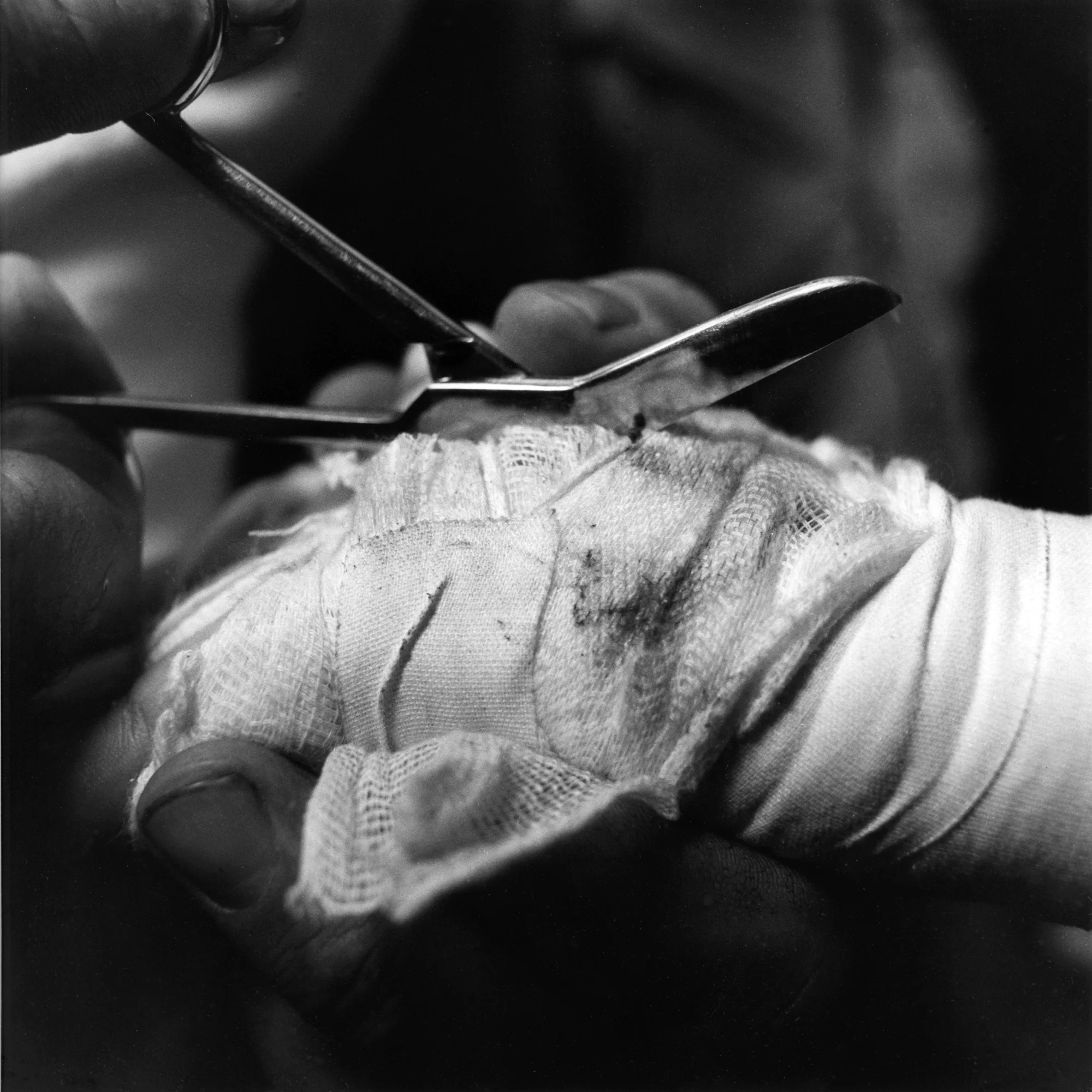 cutting the wrapsLR.JPG