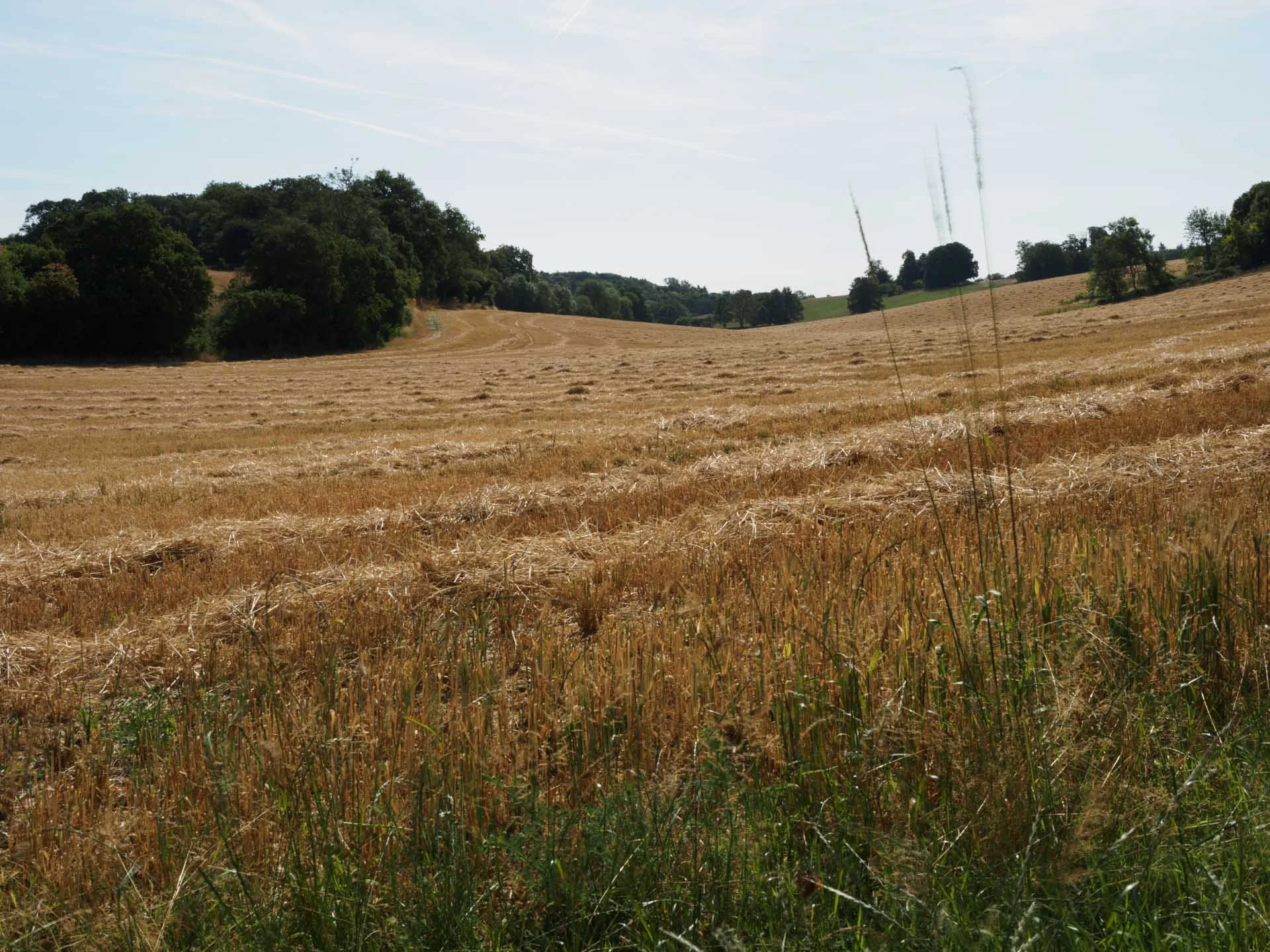  Despite the movement of the grasses in the foreground, the OM-5 II has produced a natural-looking 50MP image in hand-held High Res Shot mode. 
