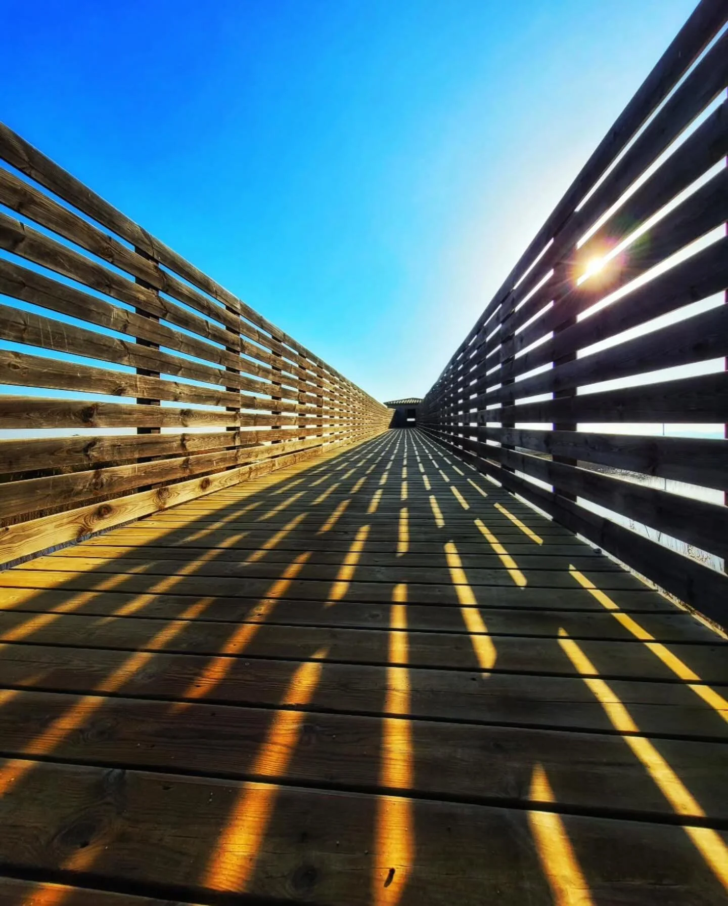 Great shadows and leading lines in this image captured by @s.vizcaino_color 
.
.
.
#sheclicksnet #femalephotographers #women #womenphotographerscommunity #photography #femalephotographer #shade #shadows #leadinglinesphotography #leadinglines