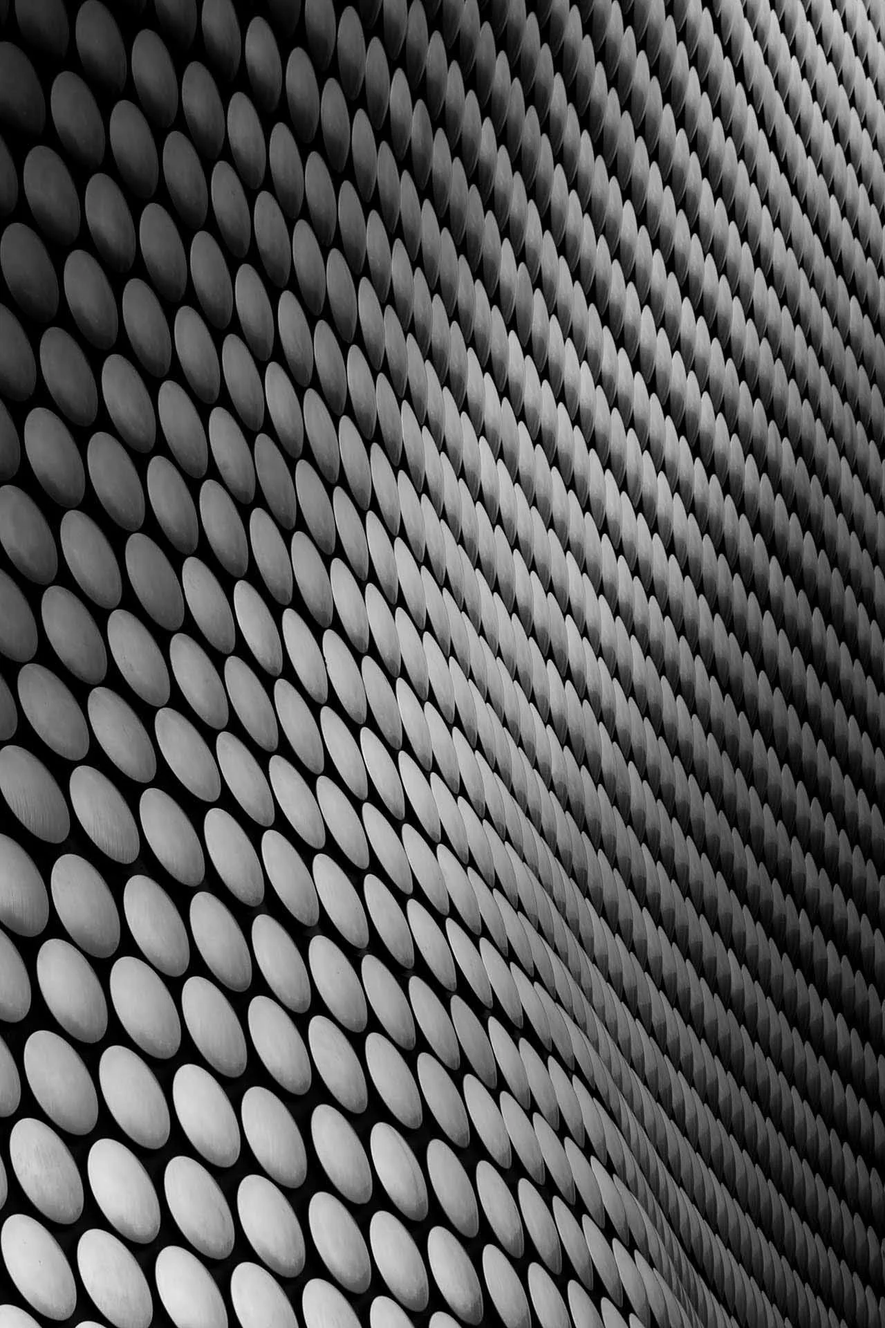 Fliss van Steenbergen