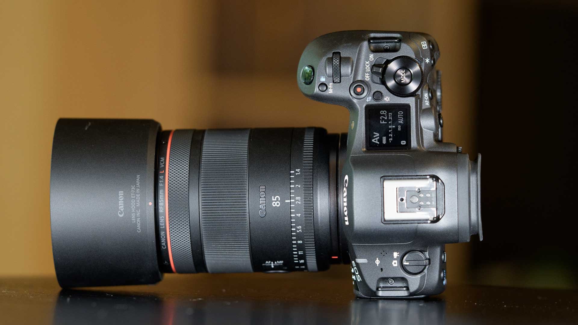  The Canon RF 85mm F1.4L VCM balances nicely on the Canon EOS R5 Mark II. 